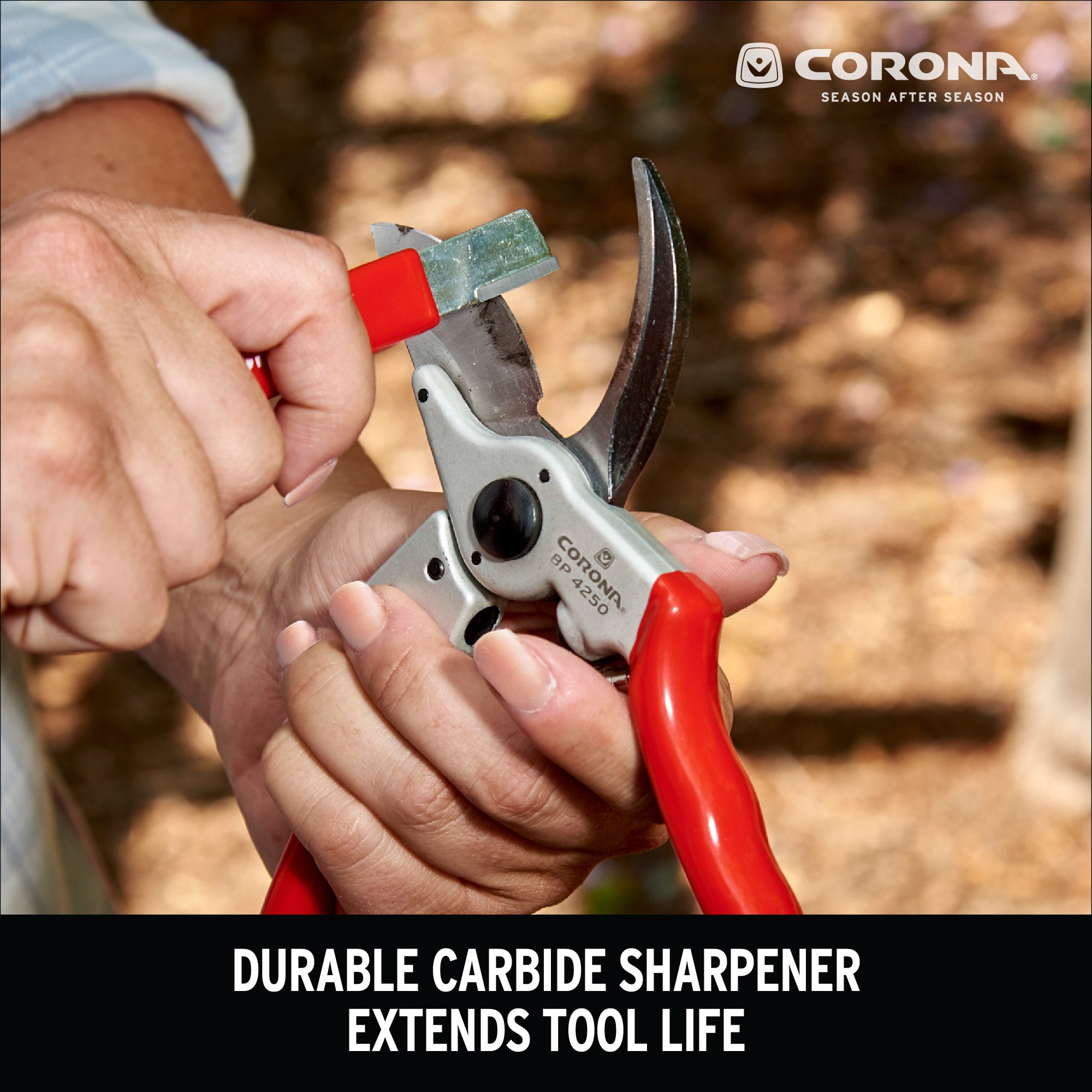 Carbide Sharpening Tool