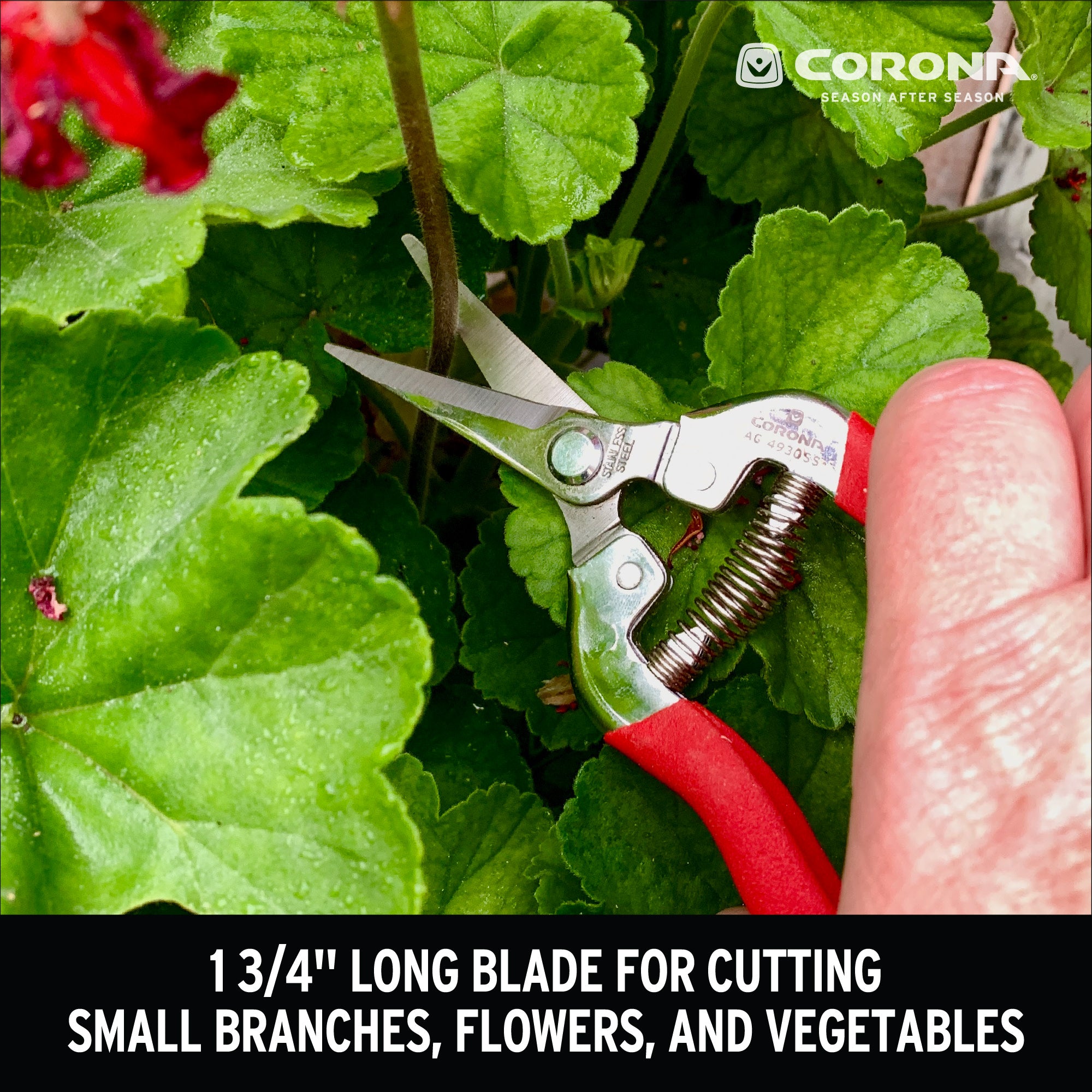 Long Straight Snips, 1-3/4 in. Stainless Steel Blades