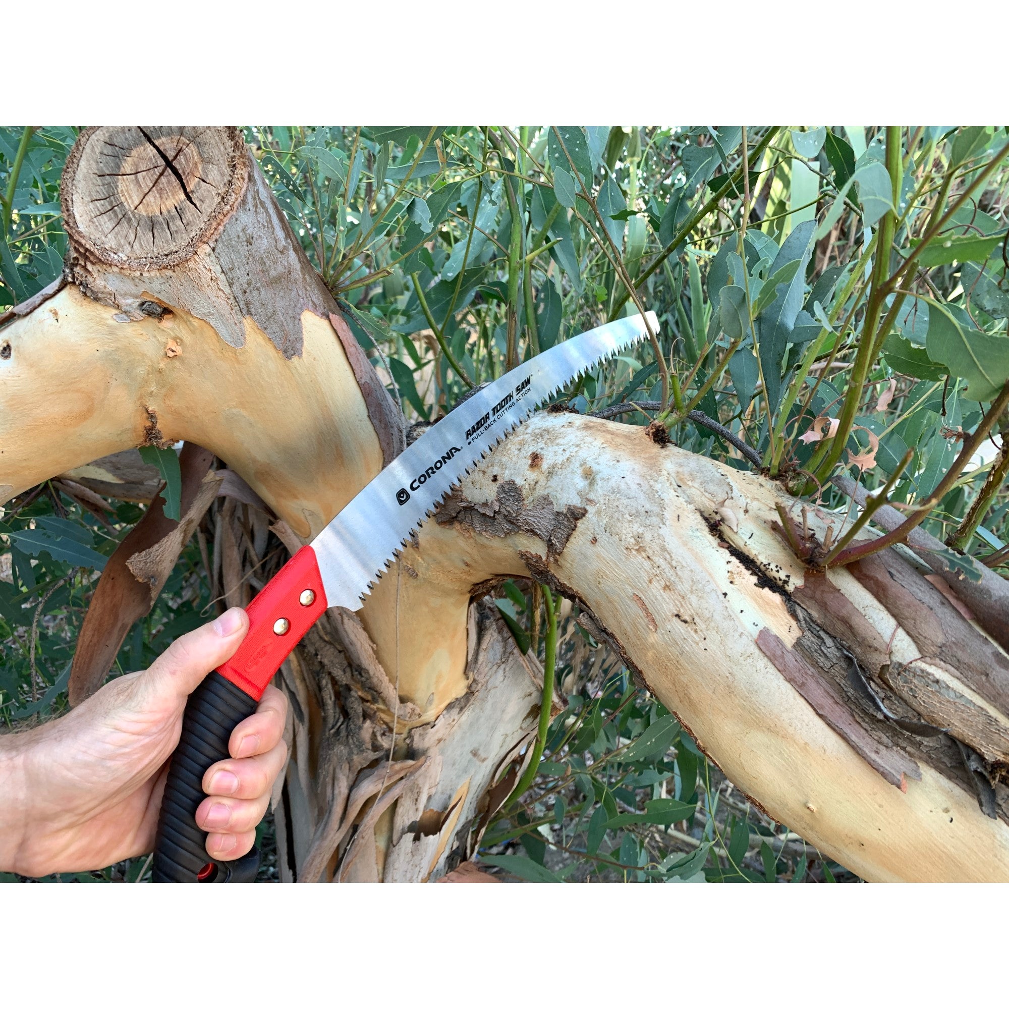 RazorTOOTH Saw™ Arborist Pruning Saw, 13 in. Blade