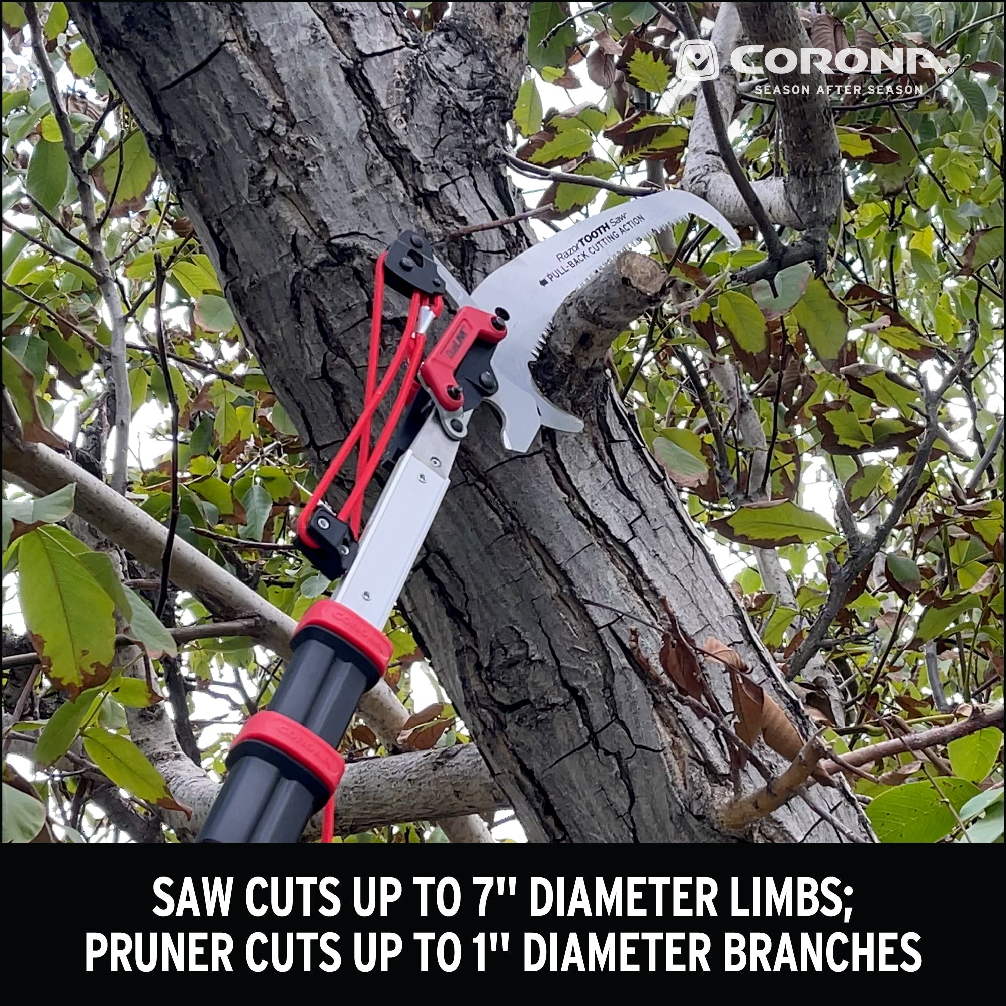 Aluminum Tree Saw & Pruner, 16ft., RazorTOOTH Saw™ 7 in. Blade