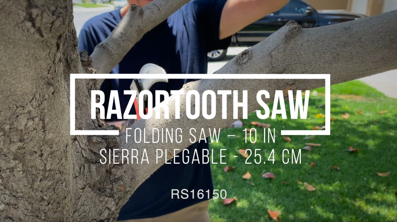 RazorTOOTH Saw™ Folding Pruning Saw, 10 in. Blade-12
