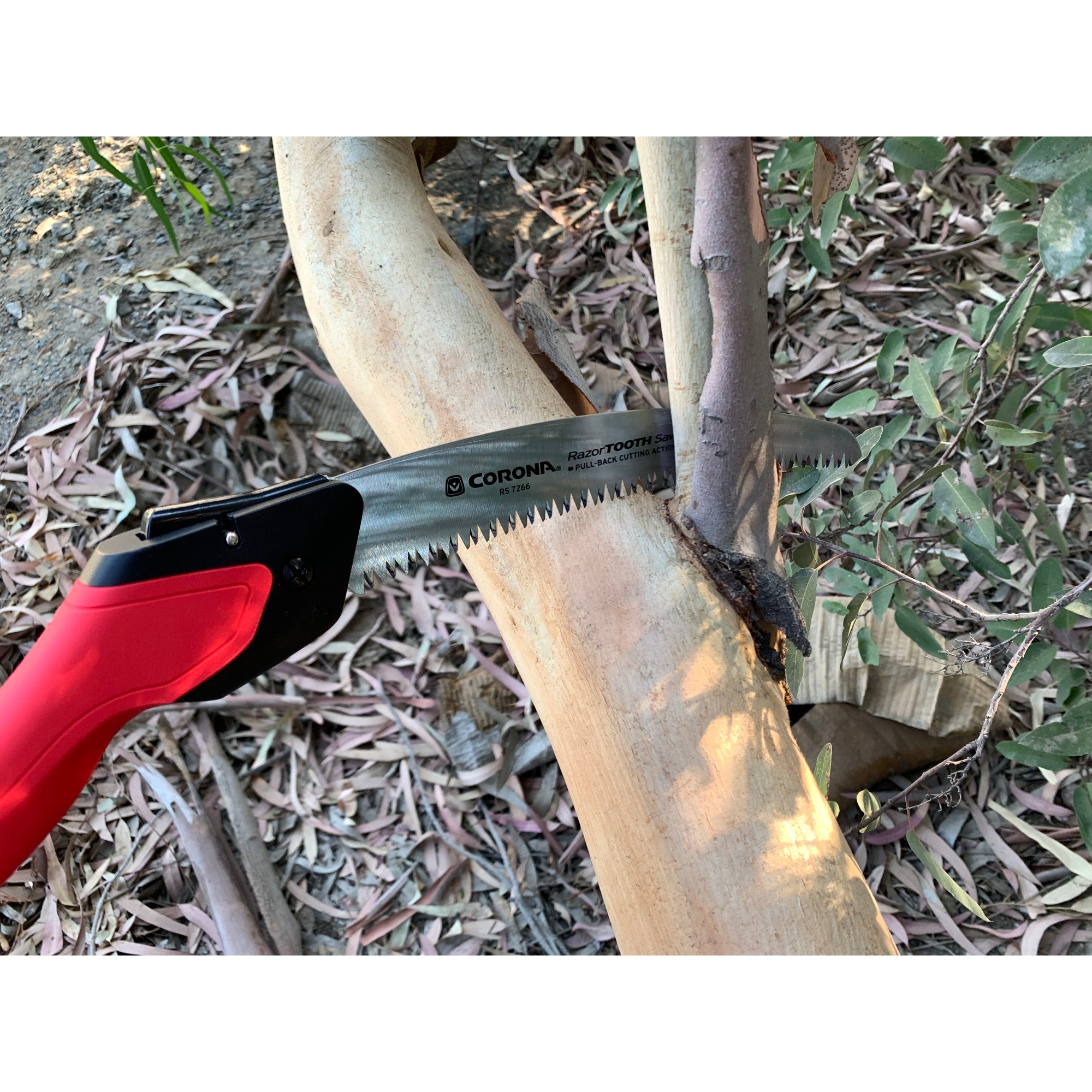 RazorTOOTH Saw™ Folding Pruning Saw, 10 in. Blade