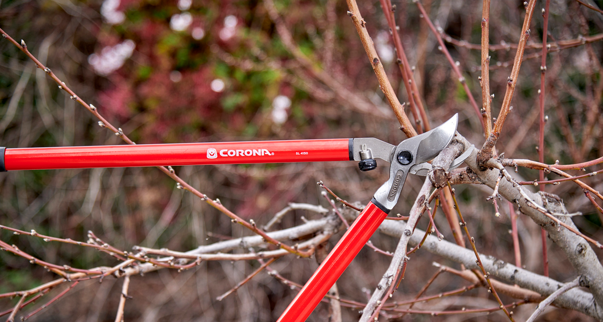 Loppers | Corona Tools