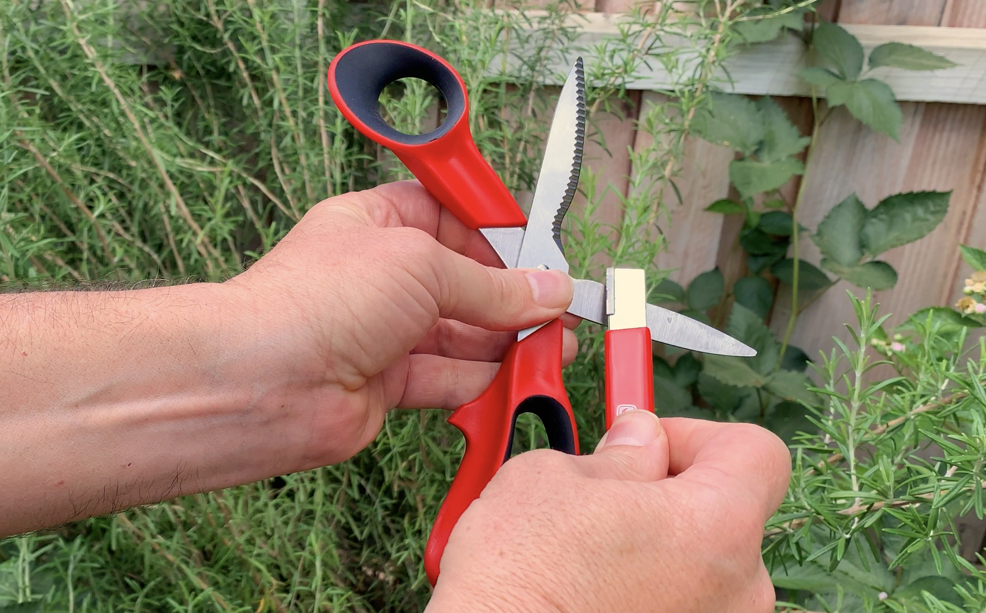 Pruning Accessories