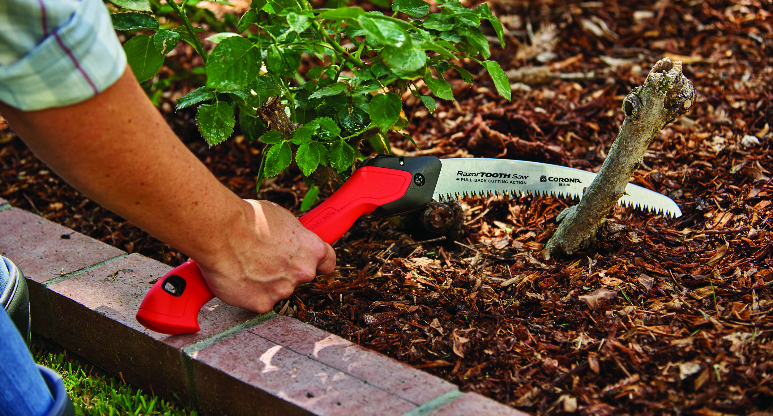 Pruning Saws