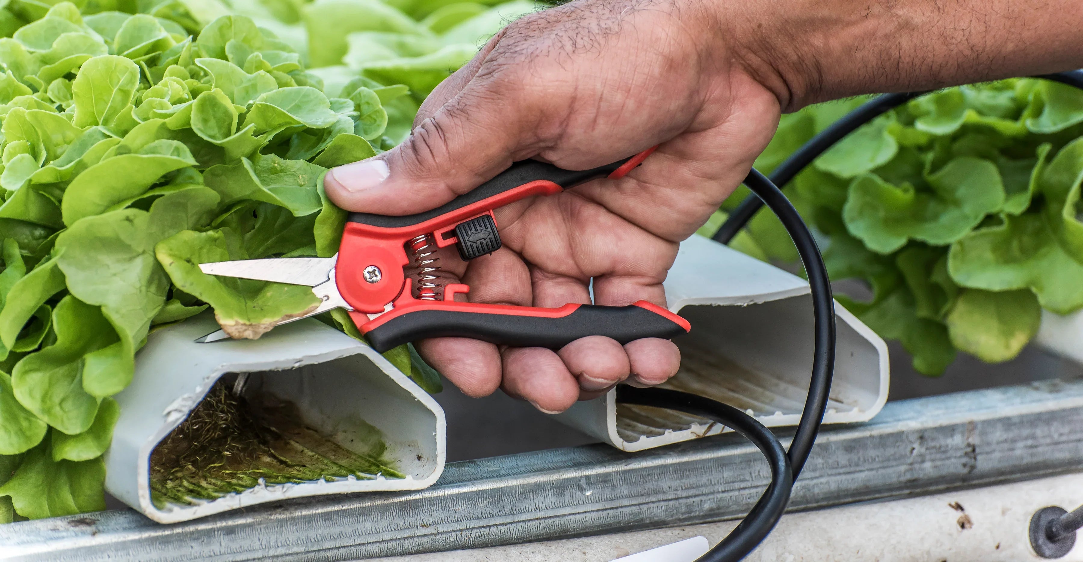 Snip Parts | Corona Clipper Inc.