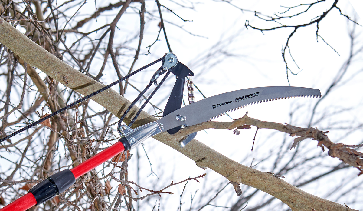 Tree Pruners | Page 3 | Corona Clipper Inc.