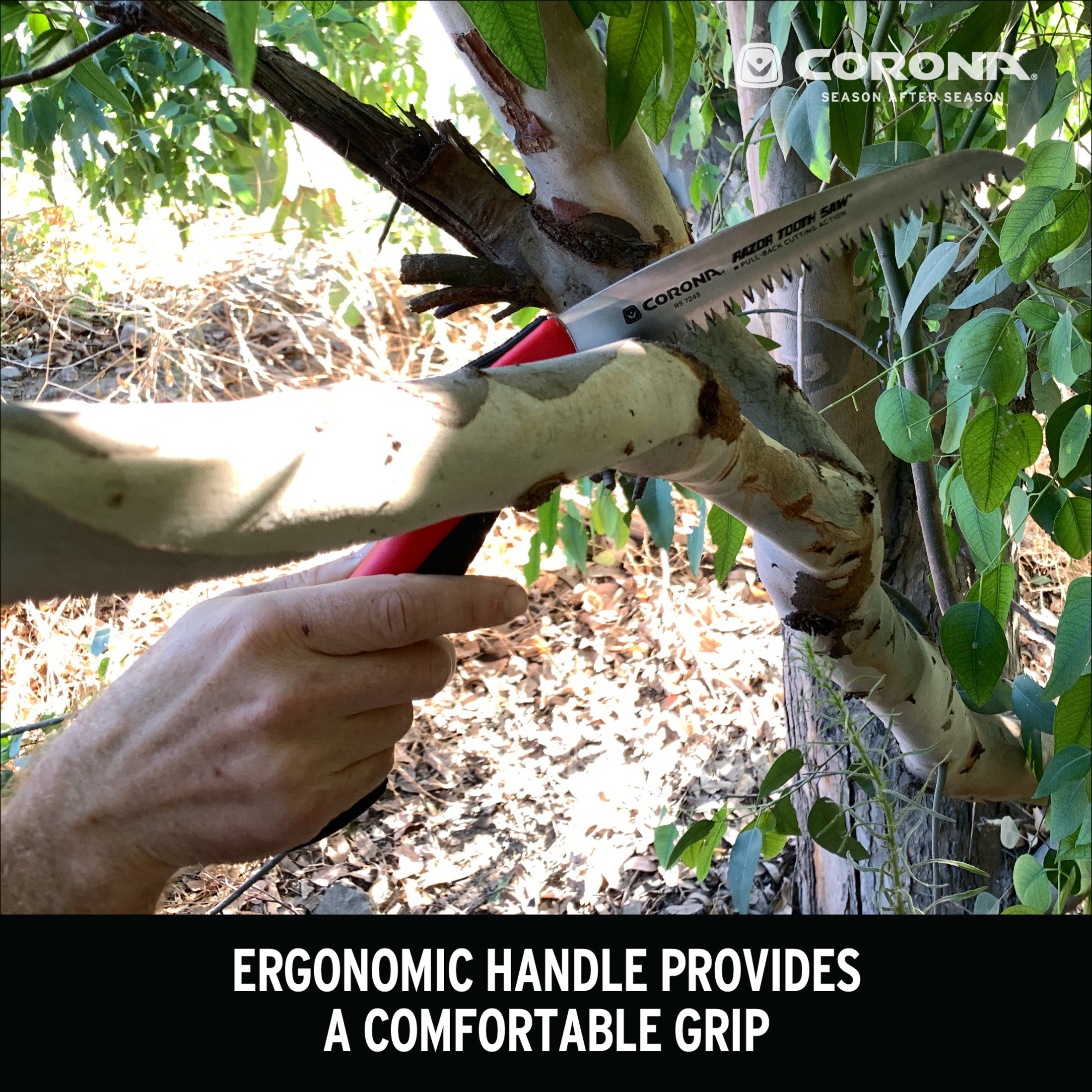 RazorTOOTH Saw® Folding Pruning Saw, 7 in. Blade