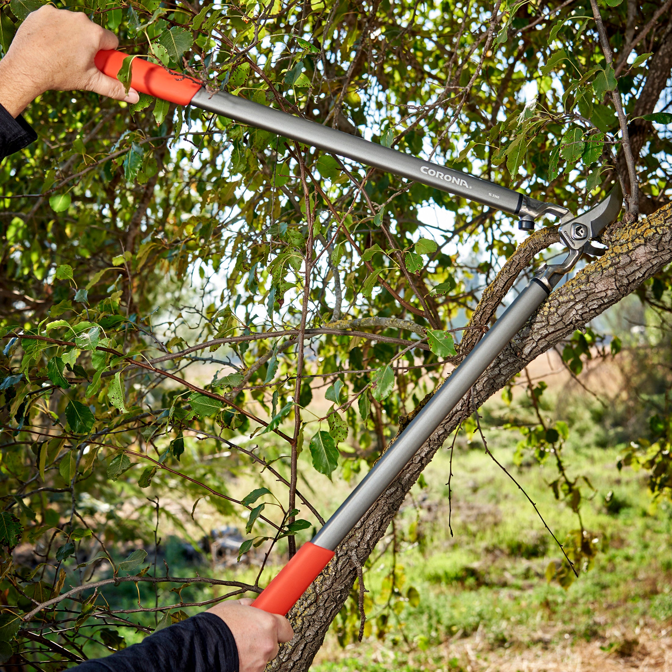 ClassicCUT® Bypass Lopper, 31 in., 1-3/4 in. Cut Capacity