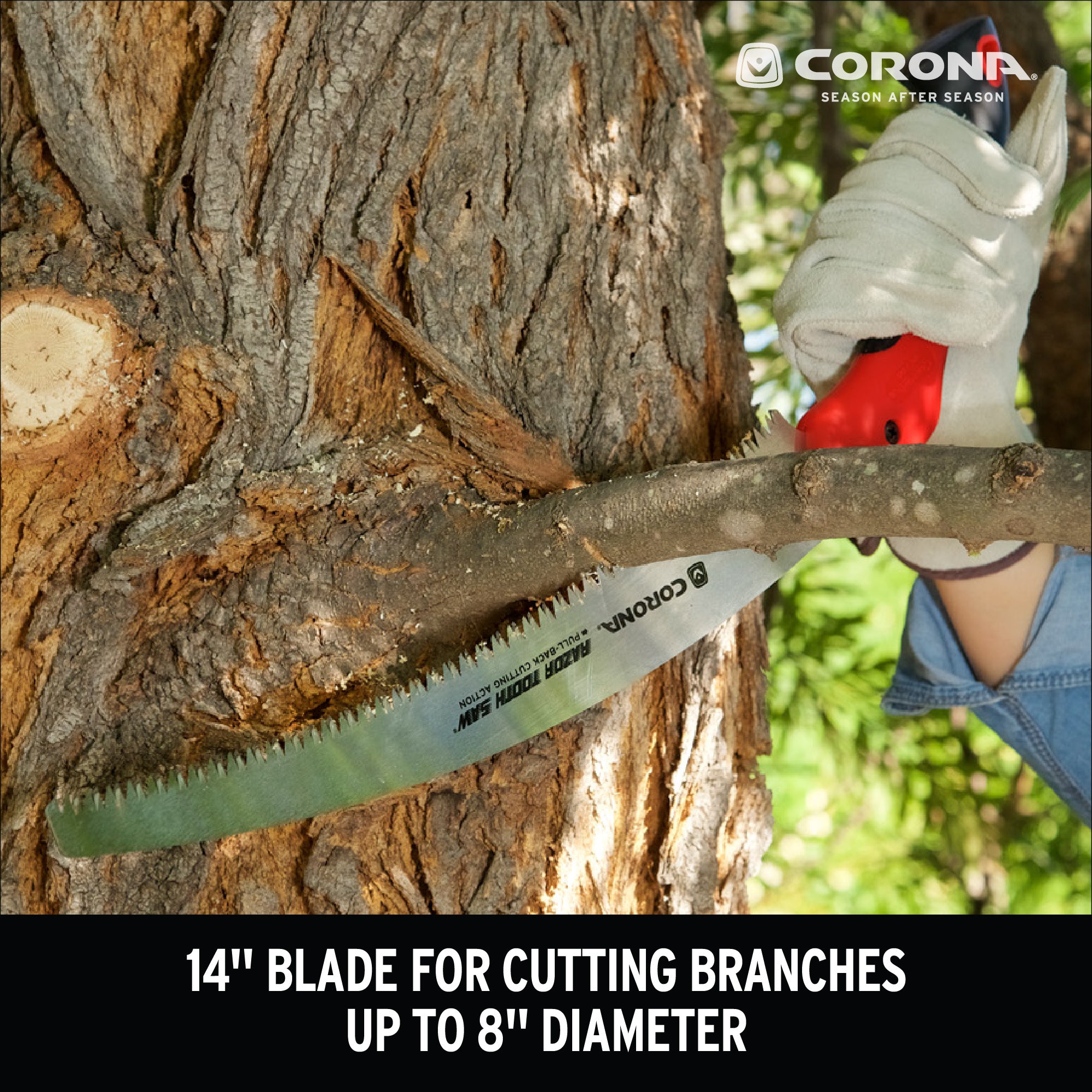 RazorTOOTH Saw™ Pruning Saw, 14 in. Blade