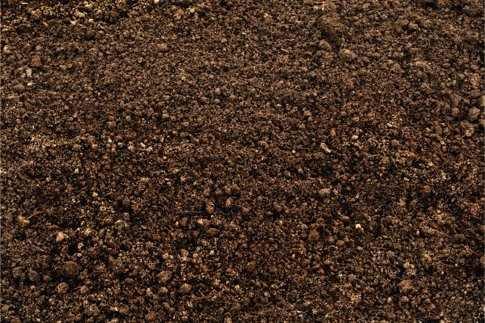 The Definitive Guides for Gardening Confidence