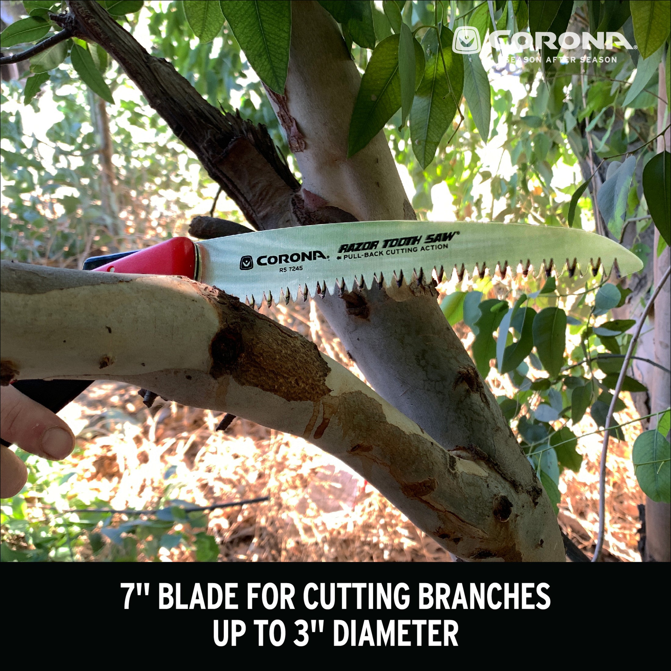 RazorTOOTH Saw® Folding Pruning Saw, 7 in. Blade
