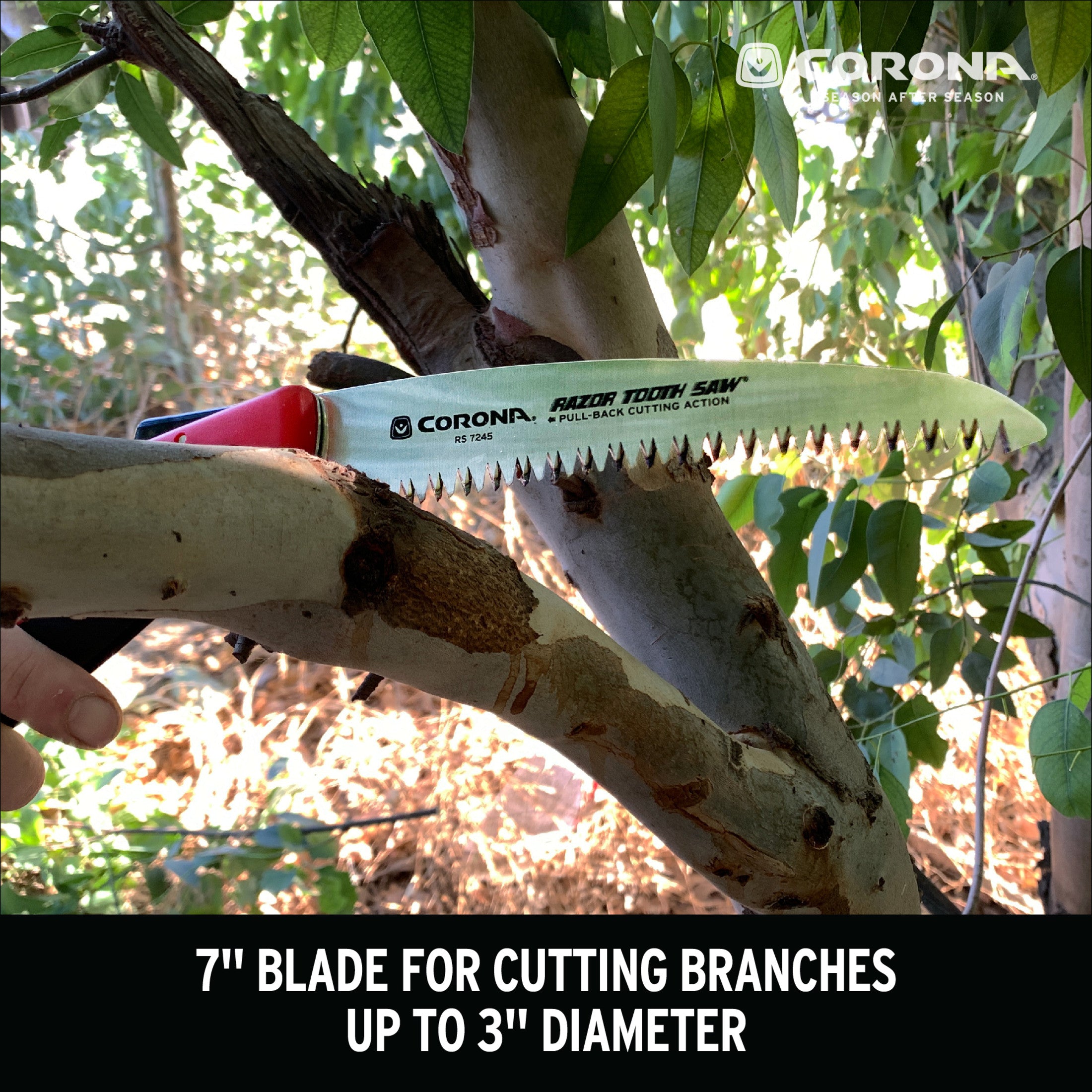 RazorTOOTH Saw™ Folding Pruning Saw, 7 in. Blade