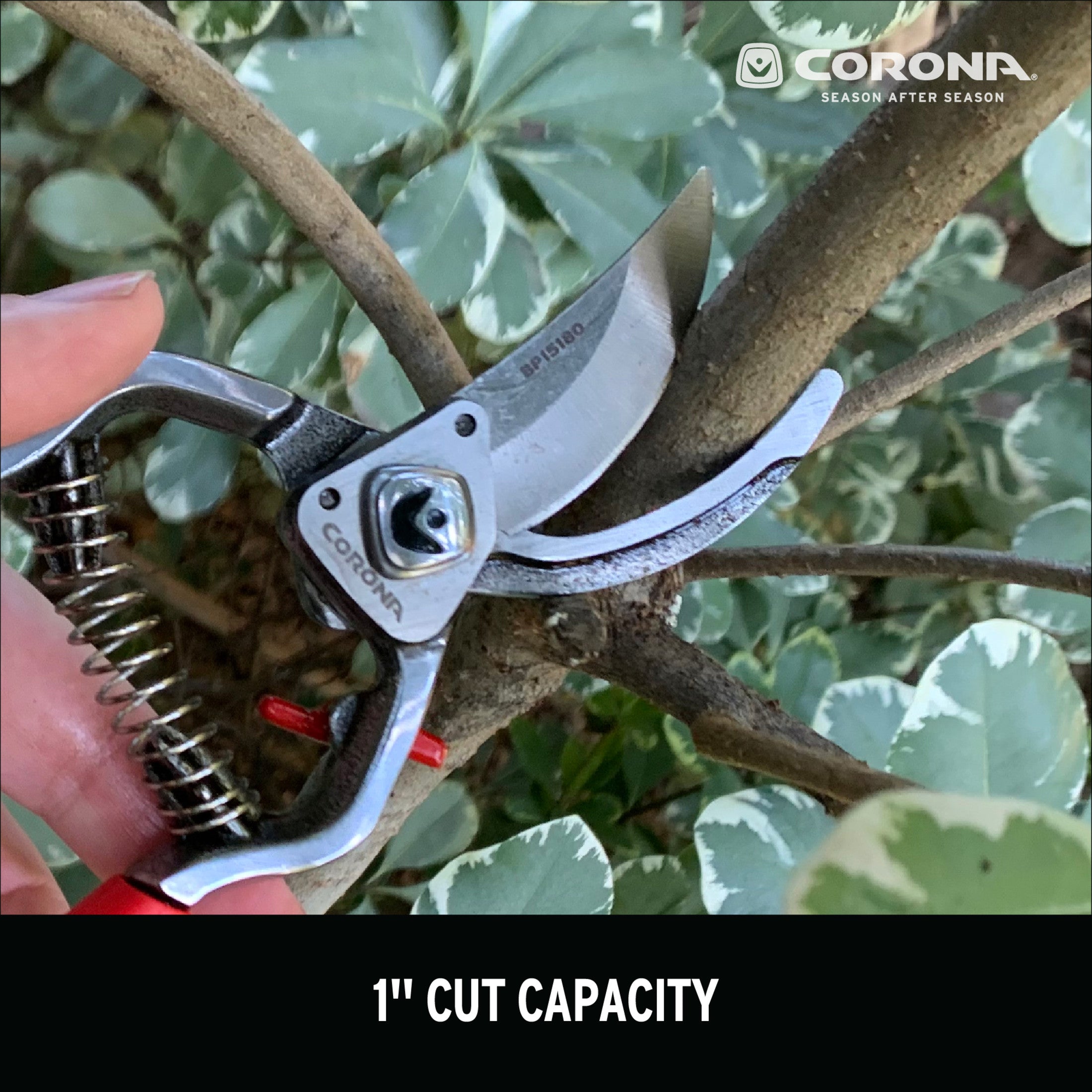 ClassicCUT® Branch & Stem Pruner, 1 in. Cut Capacity