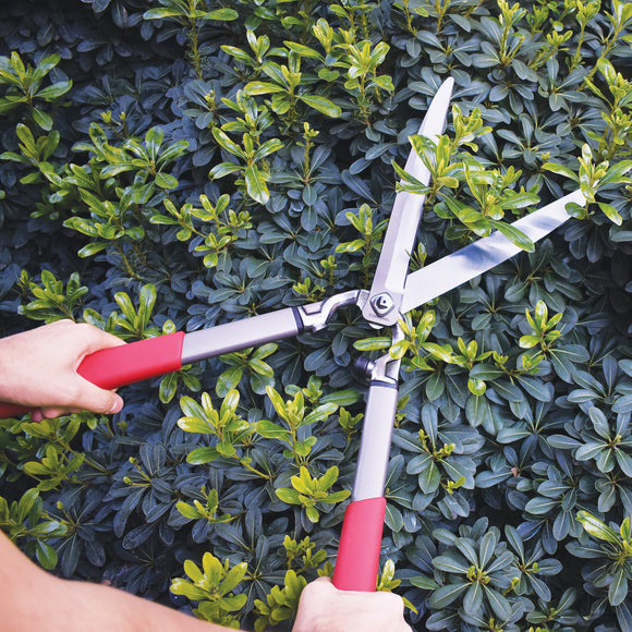 ClassicCUT® Hedge Shears, 10 in. Blades, 12-1/2 in. Handles