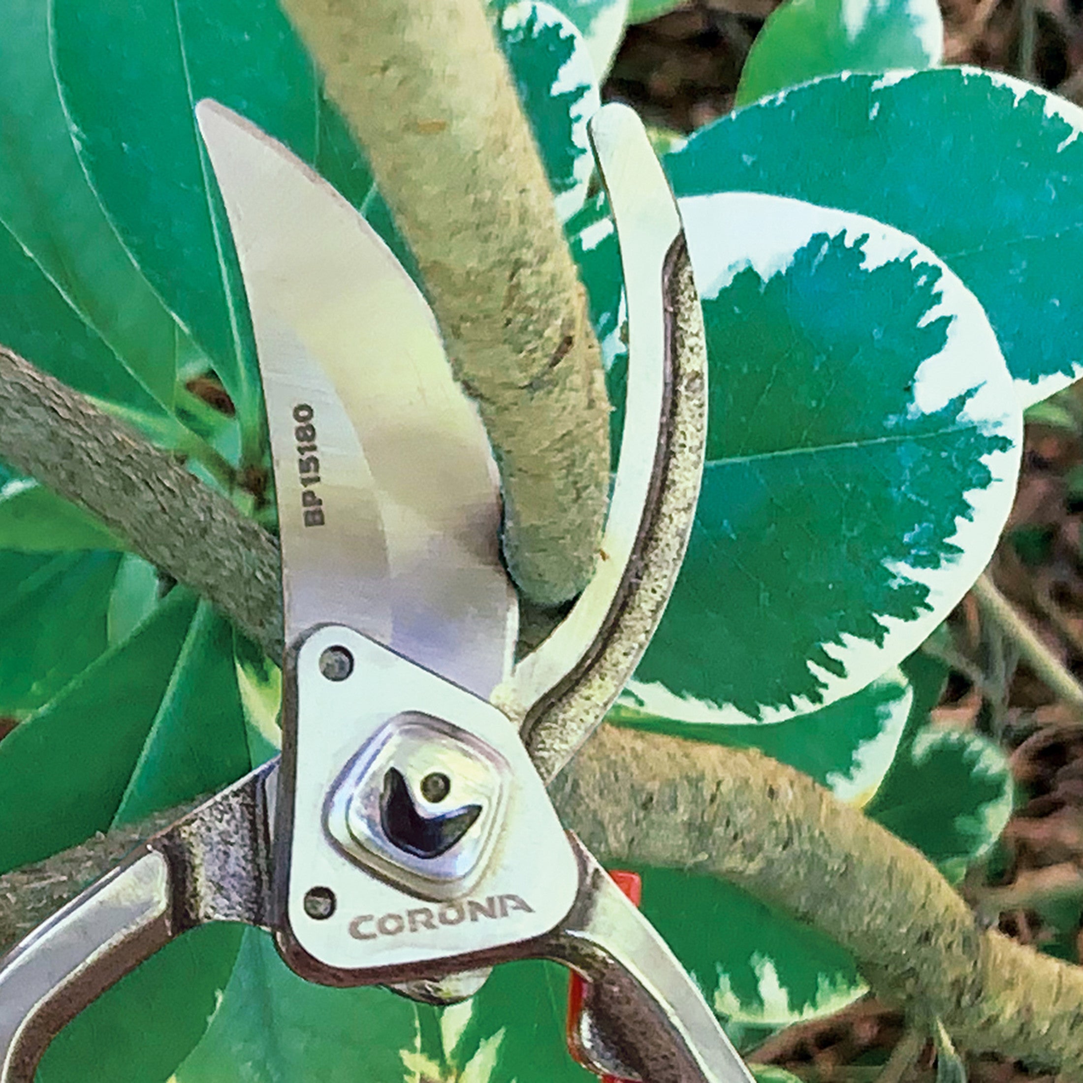 ClassicCUT® Branch & Stem Pruner, 1 in. Cut Capacity