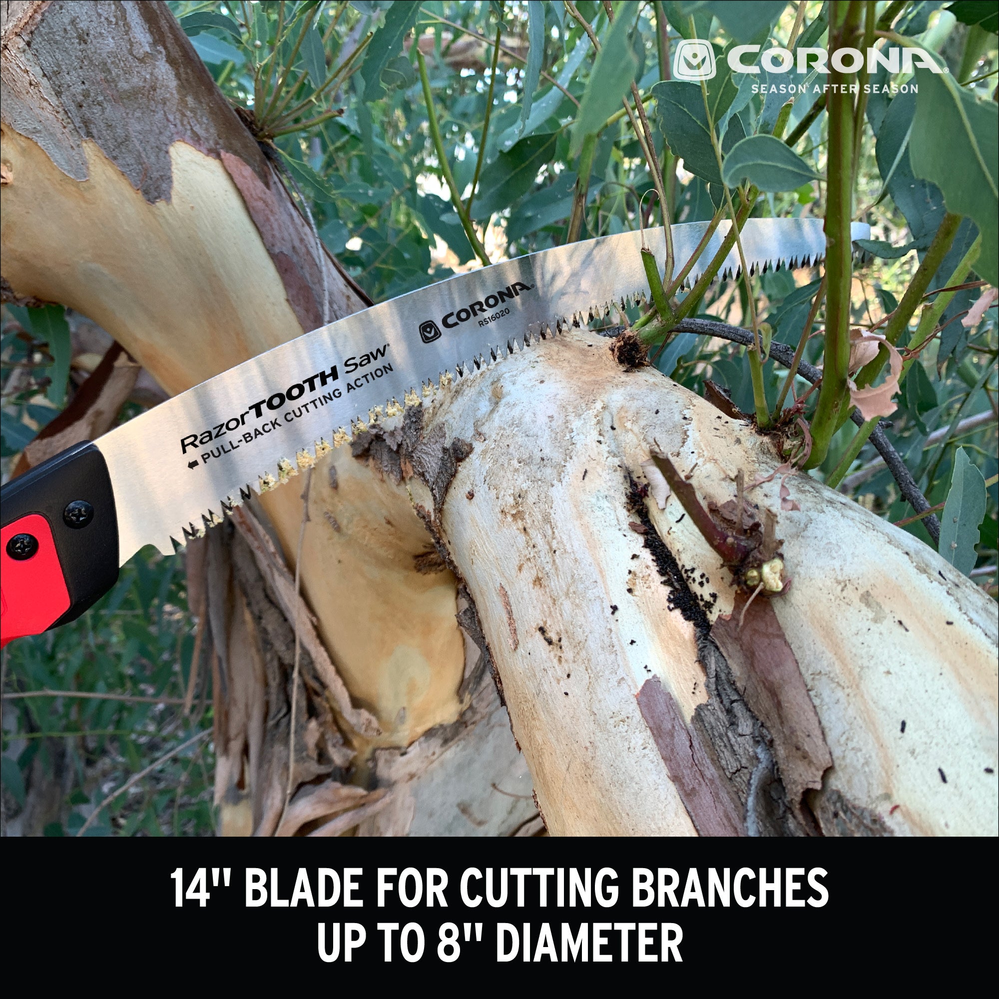 RazorTOOTH Saw® Pruning Saw, 14 in. Blade