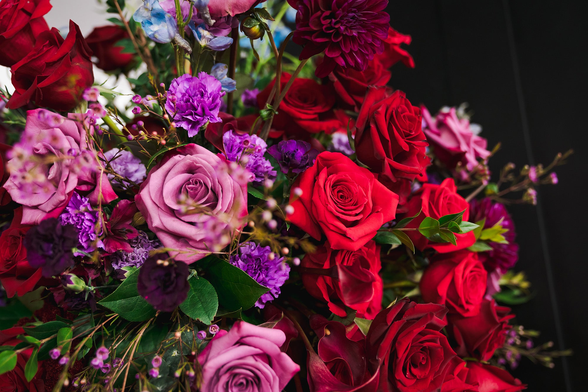 15 Years of Red Carpet Blooms