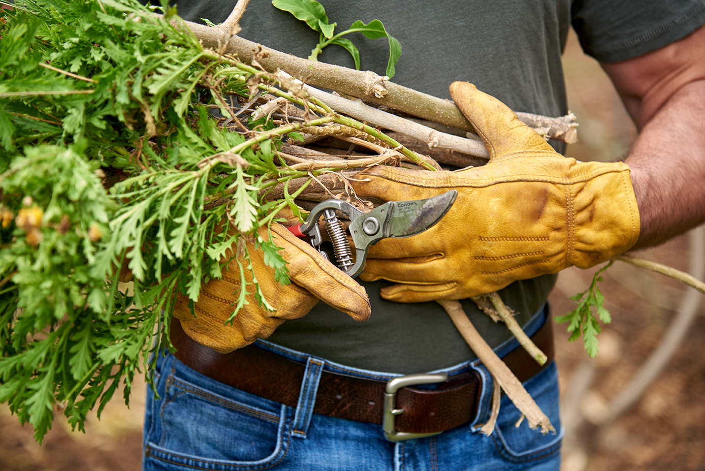 Corona® Tools Warranty