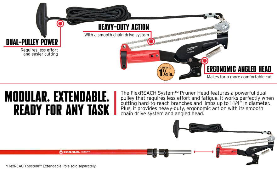 Body 970x600 6a7c603c f9ea 43de 8139 893c59093983