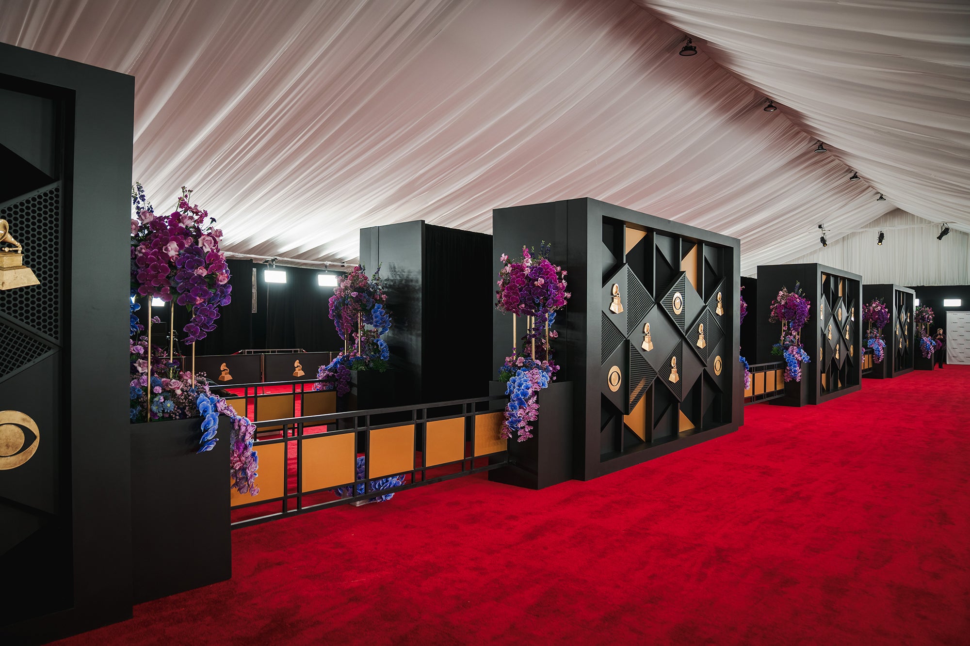 16 Years of Red Carpet Blooms