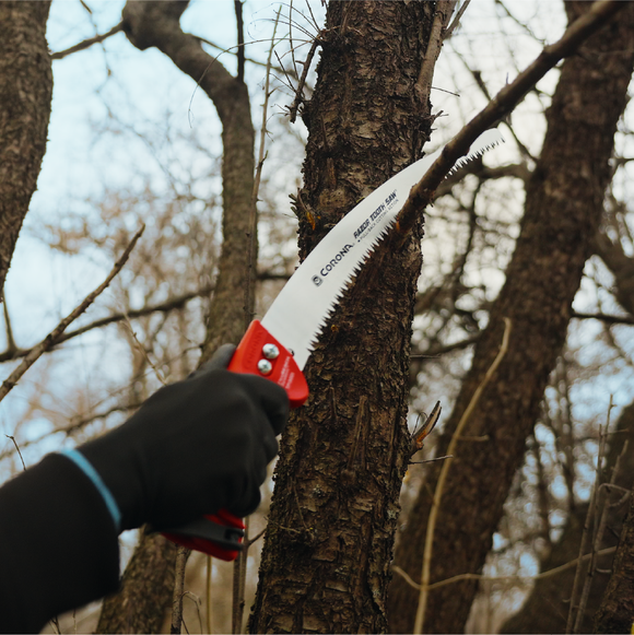 <h2></h2><h2>RazorTOOTH Saw®</h2><p>Extra sharp three-sided teeth cut 2x faster on branches and limbs up to an 8 in. diameter.</p>