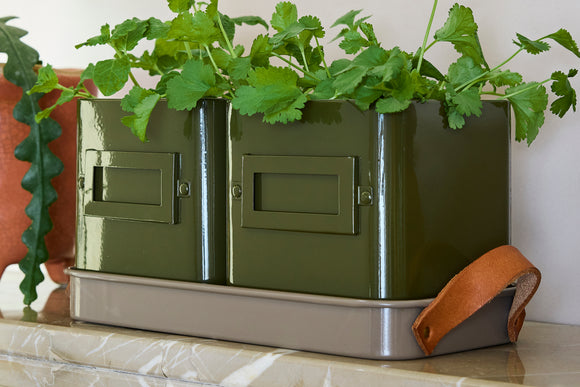 Gen hpots2olive 10
