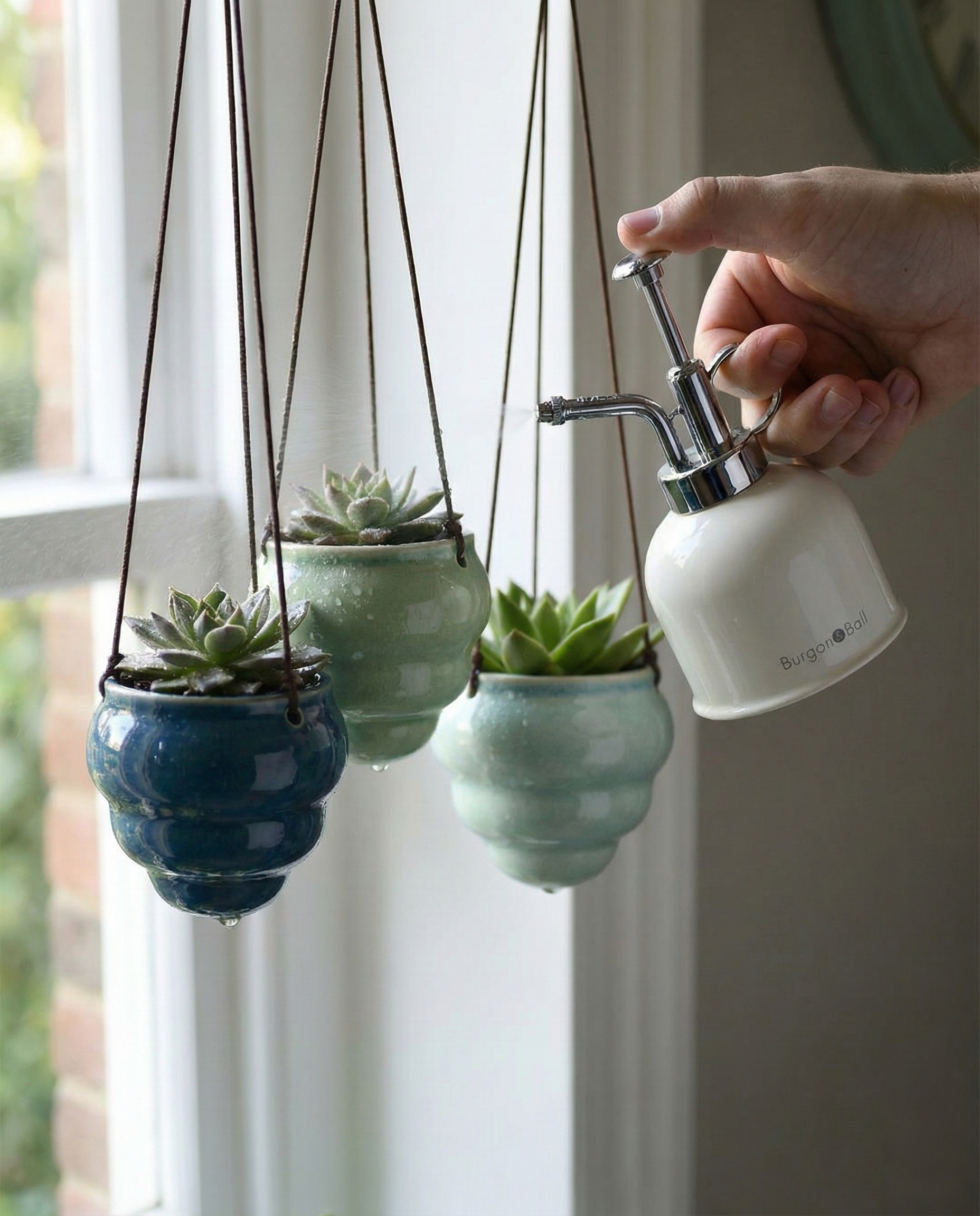 Valentine's Day 2026 Giveaway