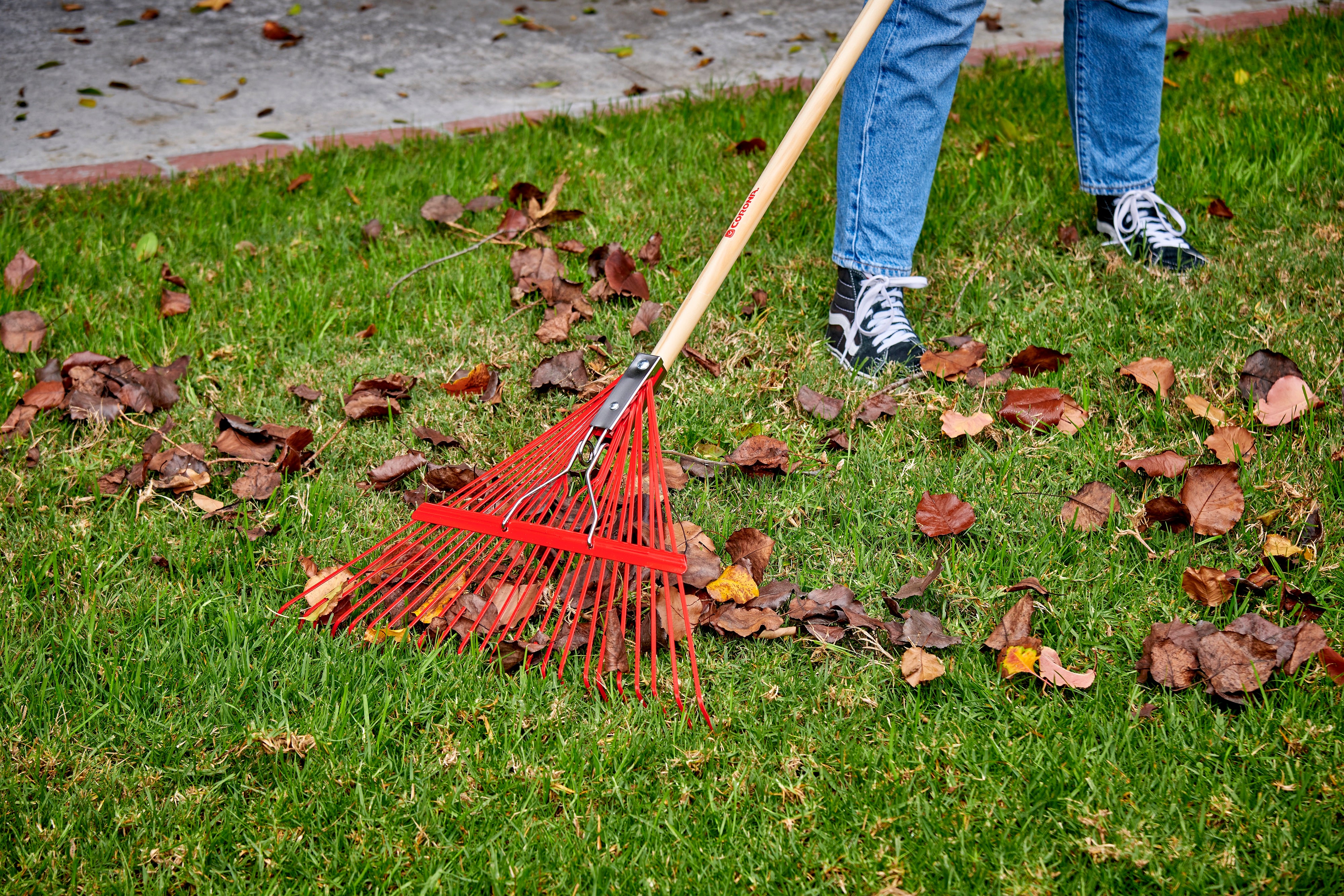 Spring Brace Rake, 24 in. Head, 24 Tines, Hardwood Handle