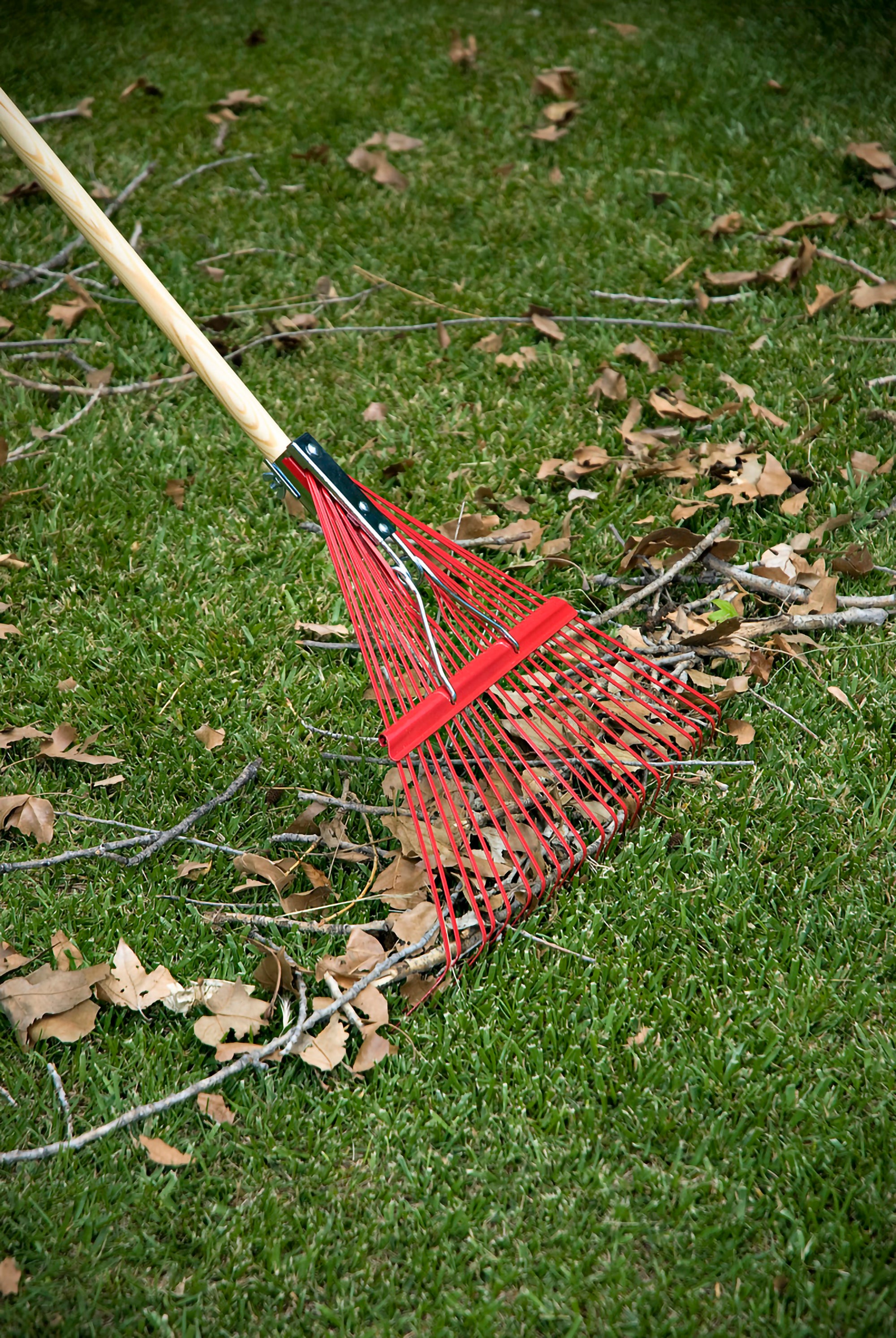 Spring Brace Rake, 22 in. Head, 22 Tines, Hardwood Handle