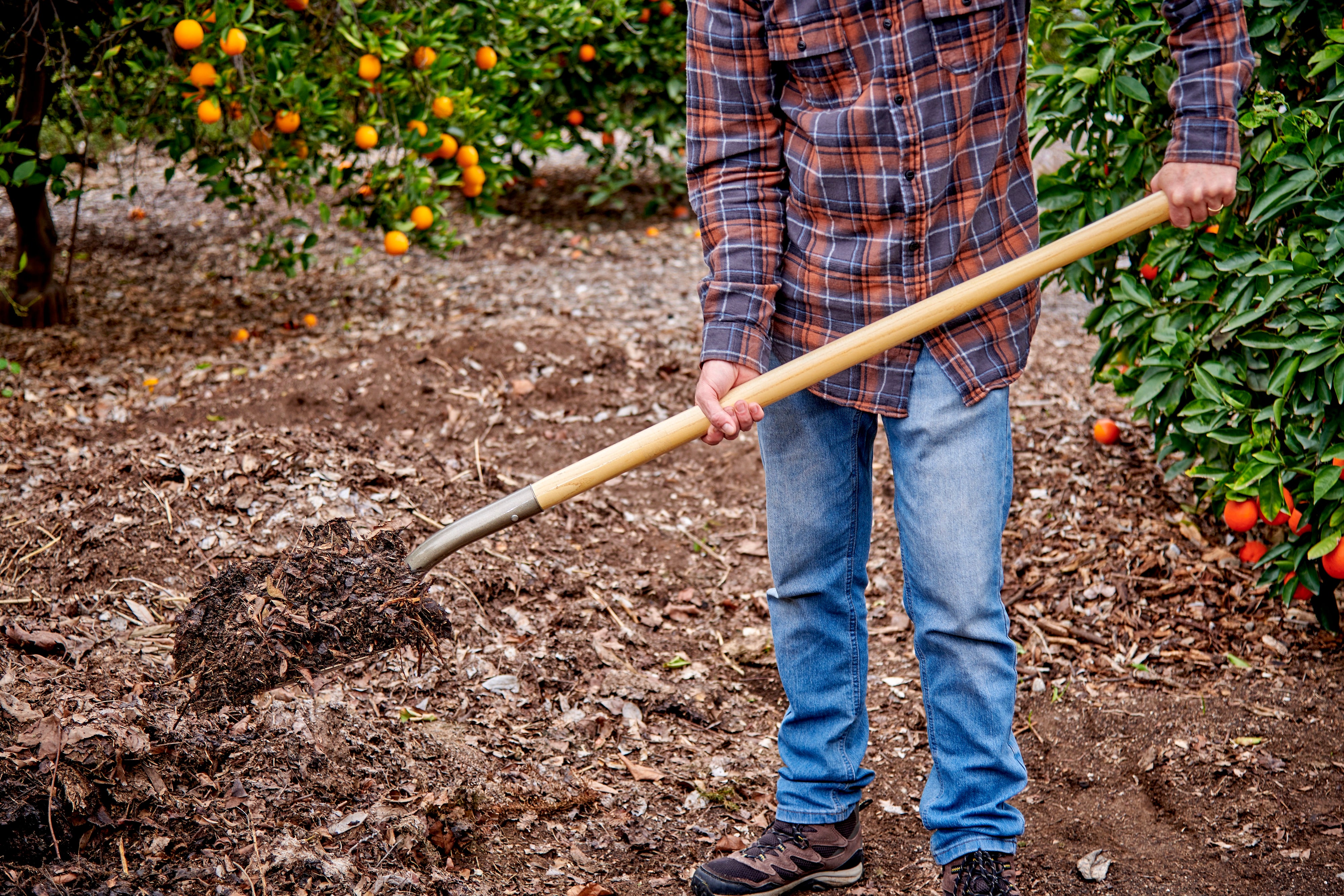 Square Point Shovel, 16-Gauge, 43 in. Wood Handle