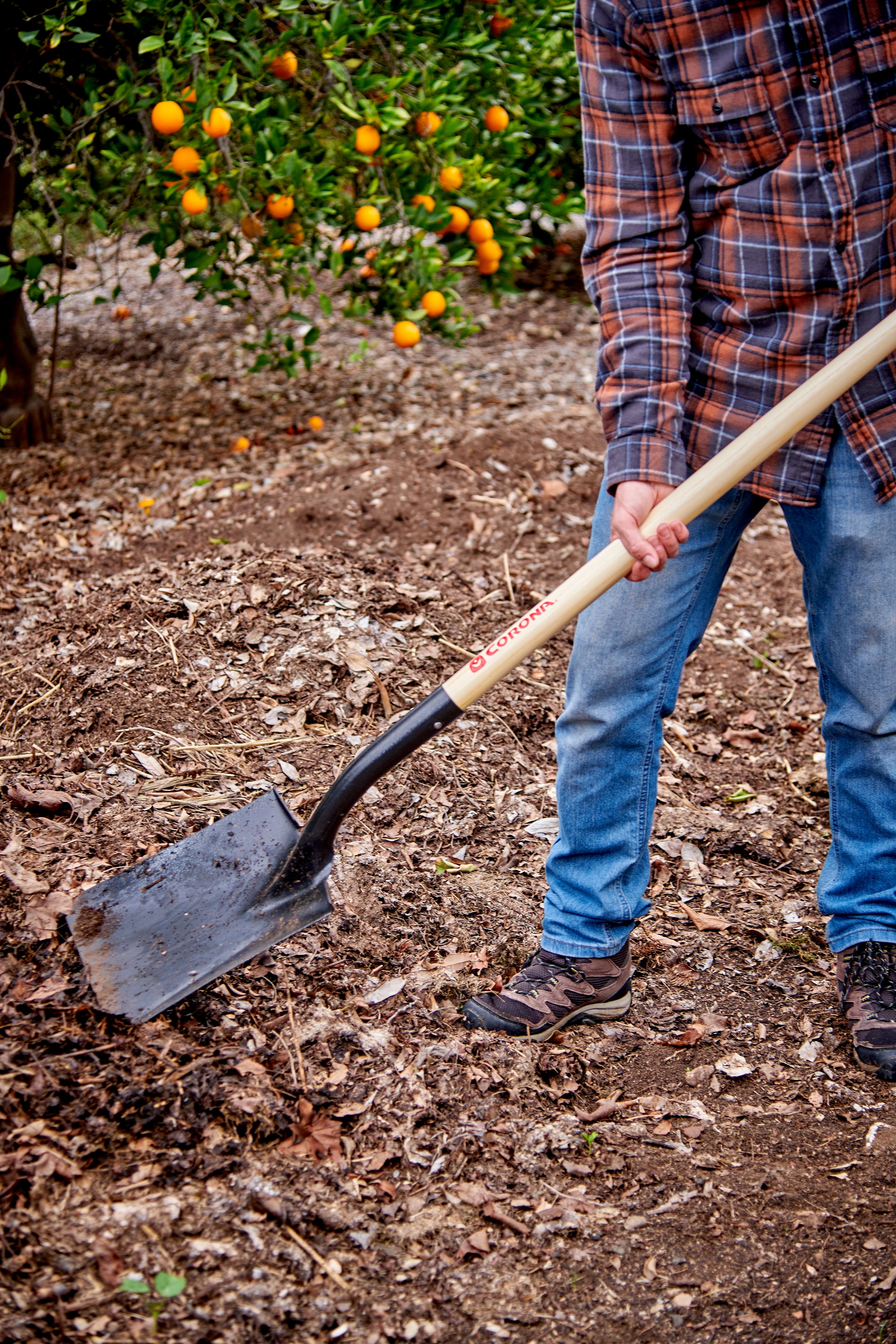 Square Point Shovel, 15-Gauge, 12. in Head, 48 in. Wood Handle