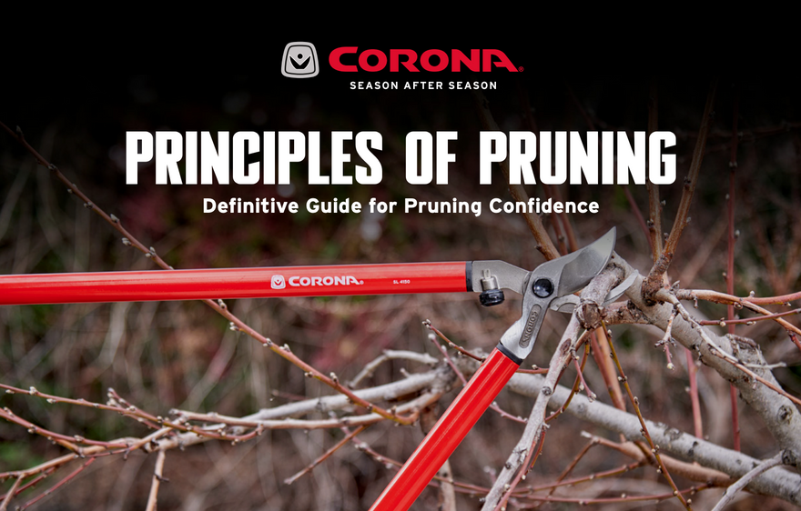 Corona® Tools Catalogs and Tool Manuals Corona® Tools Corona