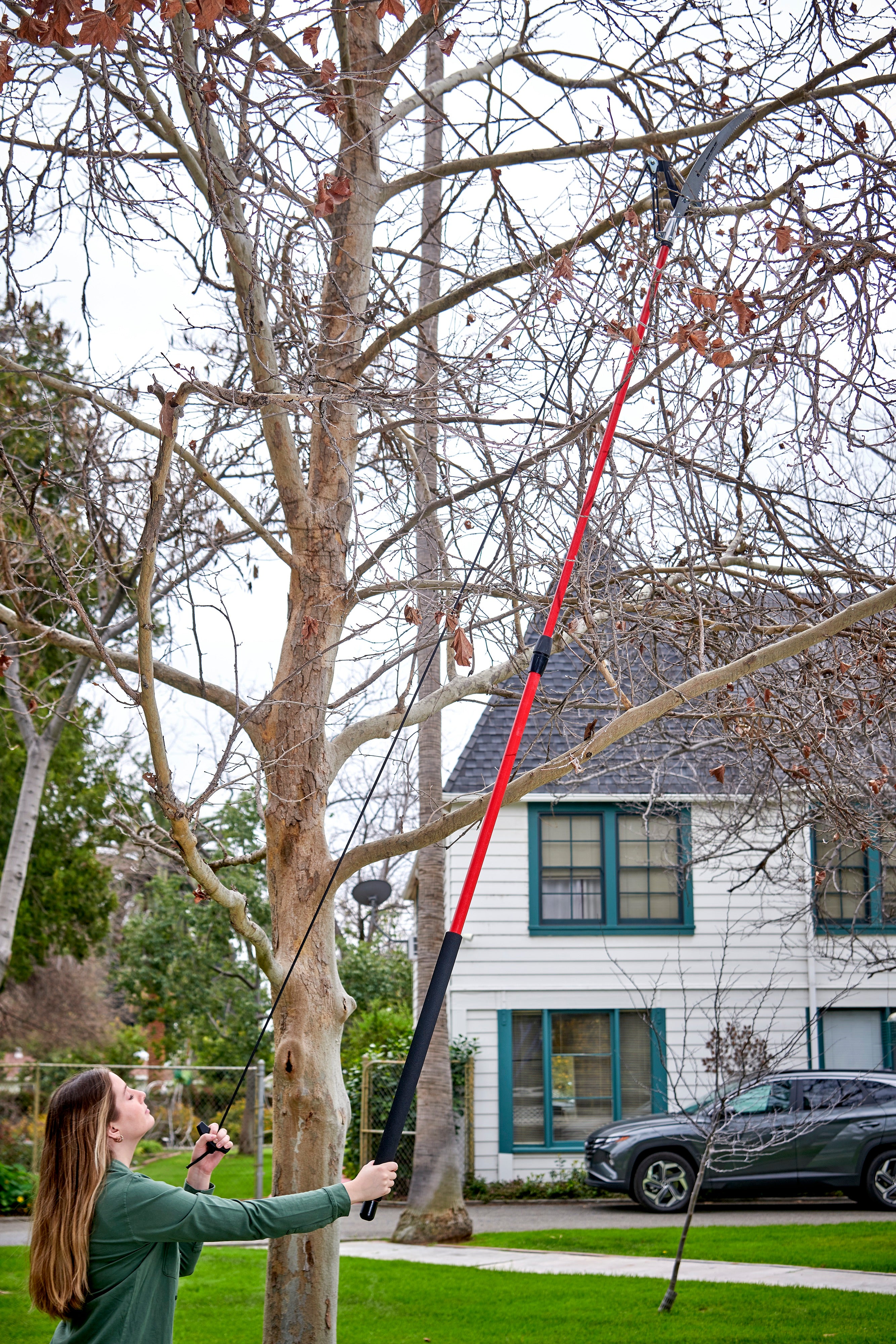 Dual Compound-Action Tree Pruner with RazorTOOTH Saw™ Blade, 12 ft.