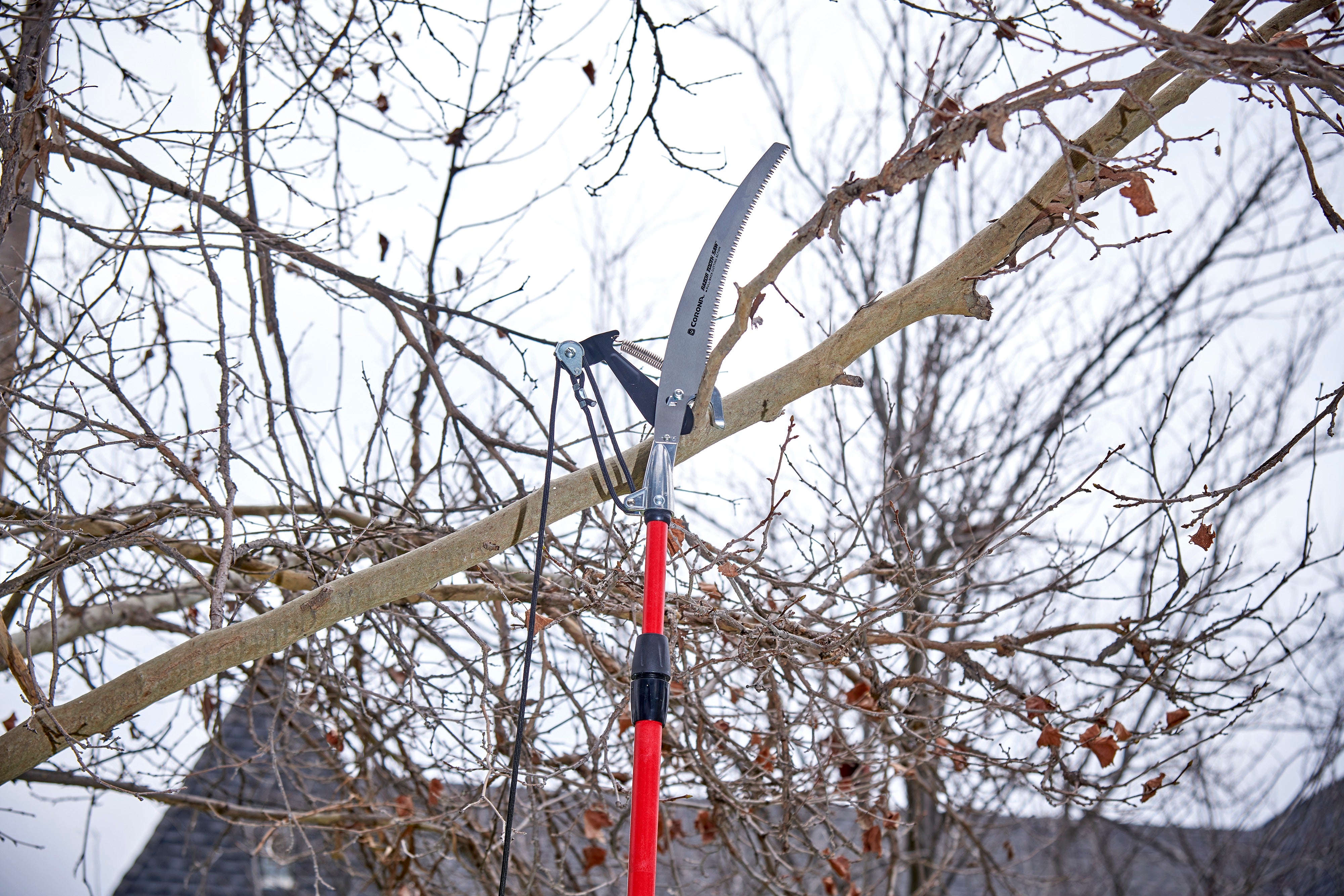 Dual Compound-Action Tree Pruner with RazorTOOTH Saw™ Blade, 12 ft.