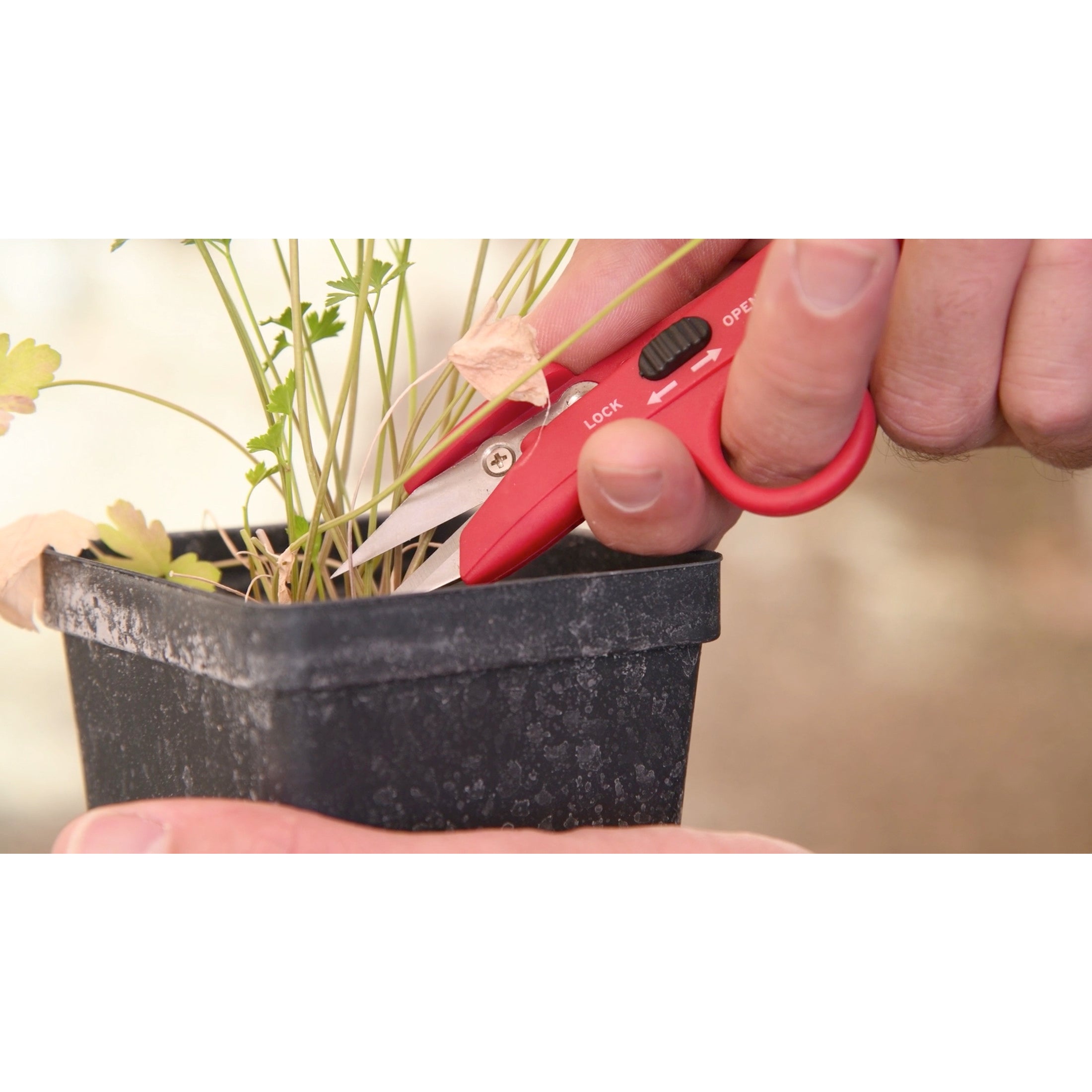 Hydroponic Finger Micro Snips