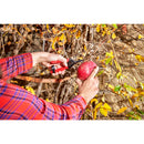 Long Curved Snips, 1-3/4 in. Blades-6