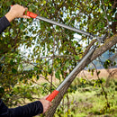 ClassicCUT® Bypass Lopper, 31 in., 1-3/4 in. Cut Capacity-6