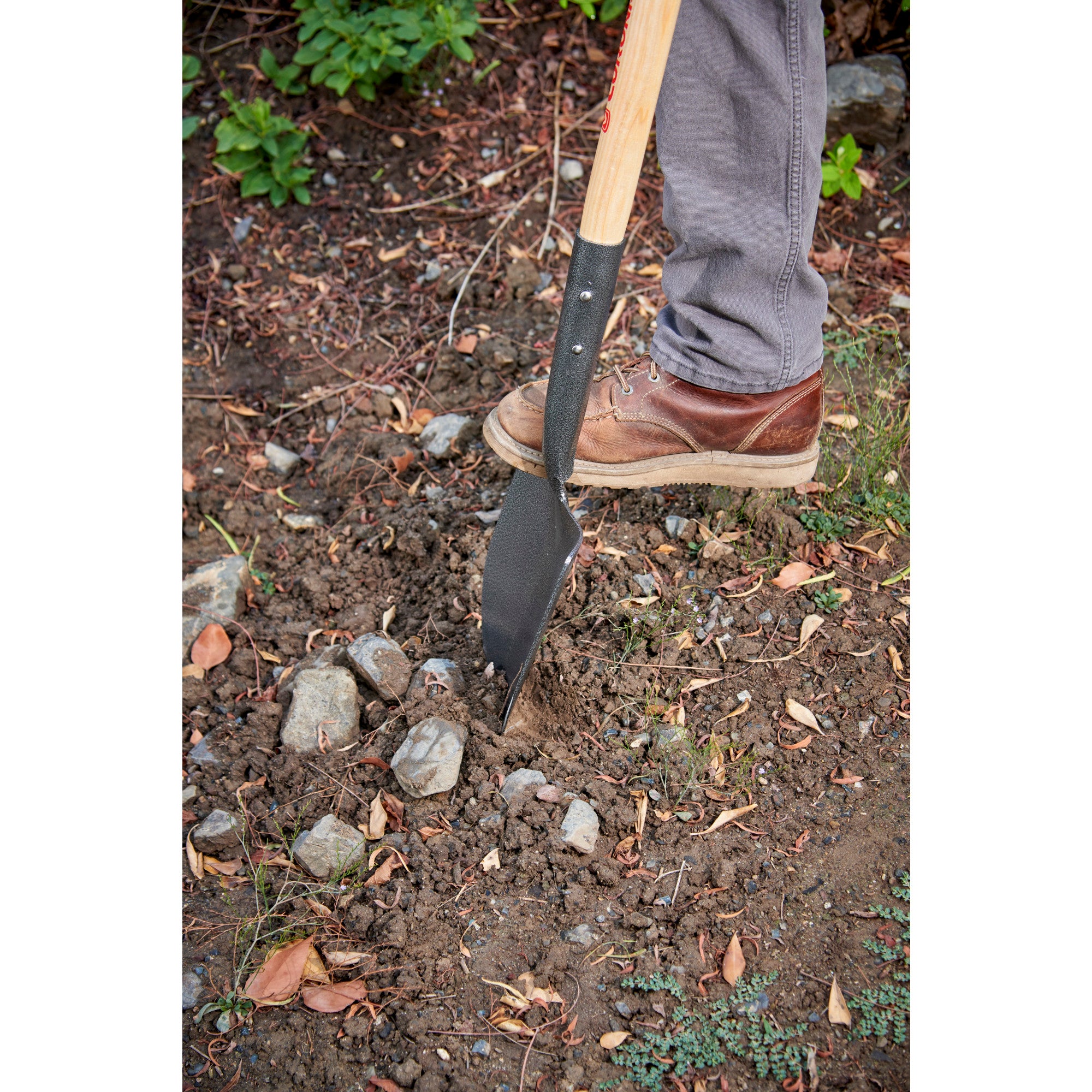 Caprock Round Shovel, 13-Gauge, 10 in. Head, Ash Hardwood Handle