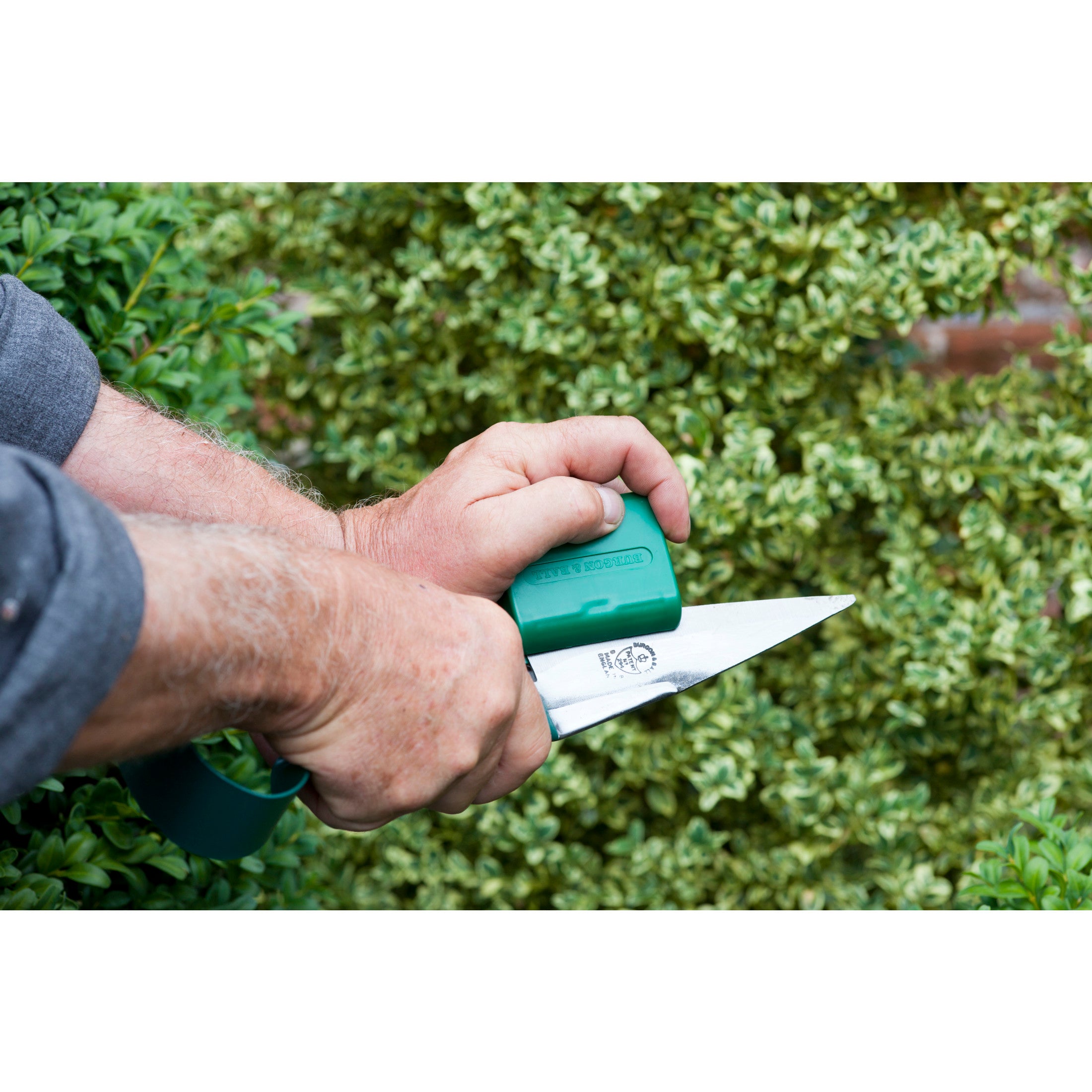 Topiary Trimming Shears, RHS Endorsed