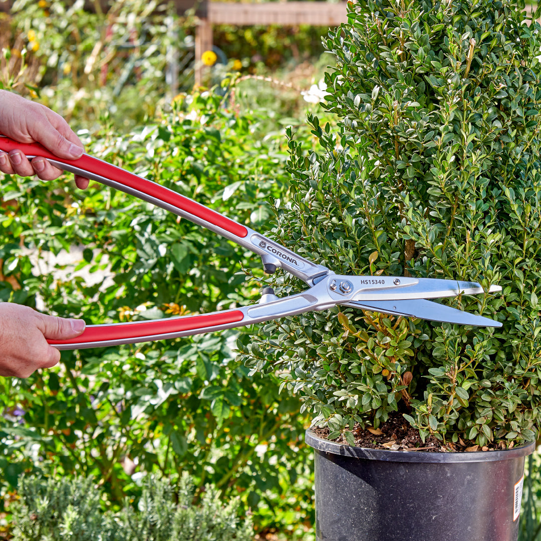 <p><strong>Featured Tool:</strong><em> PrecisionCUT Aluminum Hedge Shears 7-1/4 in. blades, 12-3/4 in. handles</em></p>