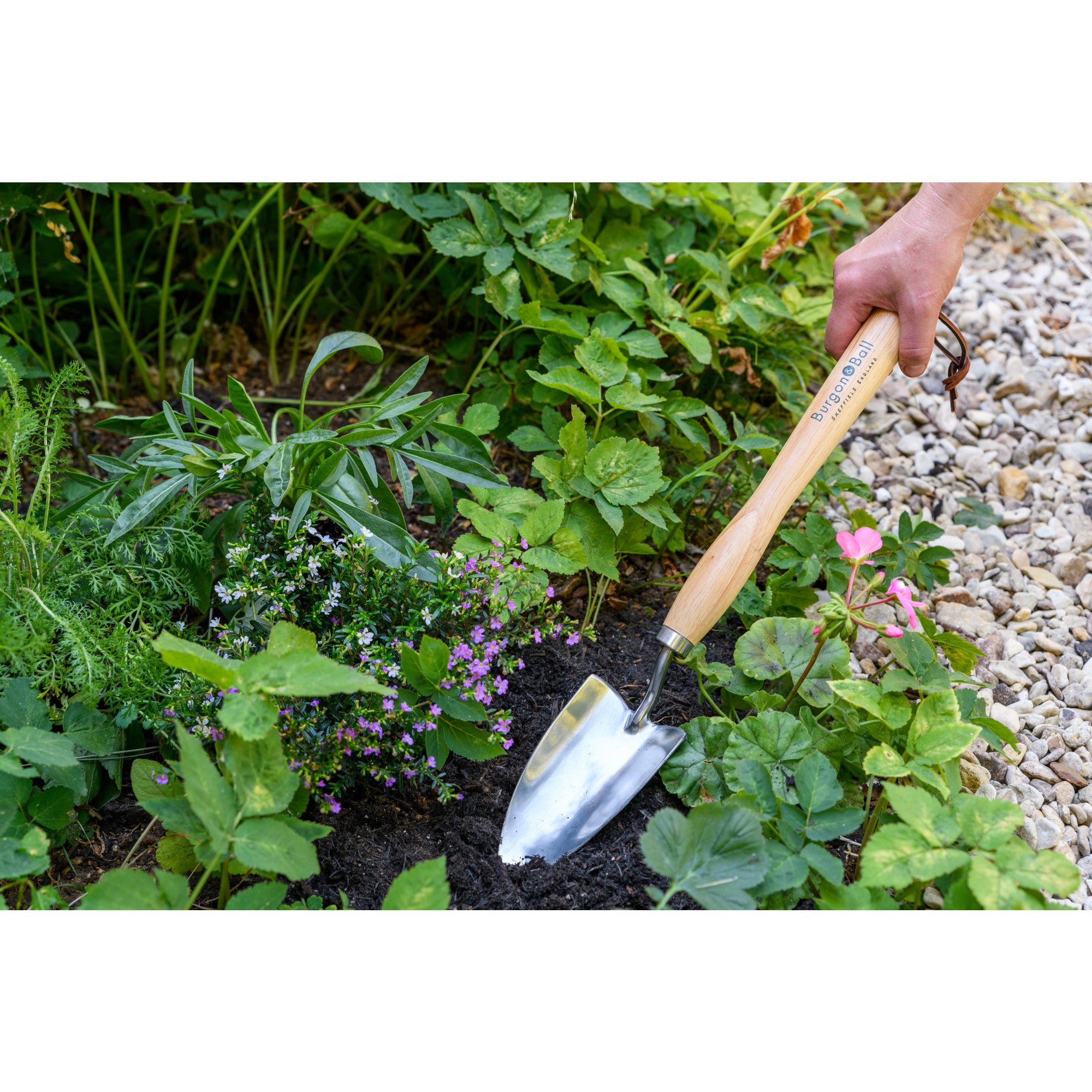 Mid-Handled Stainless Steel Trowel, Wood Grip, RHS Endorsed