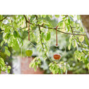 Sophie Conran Apple Bird Feeder, Heart-Shaped-2