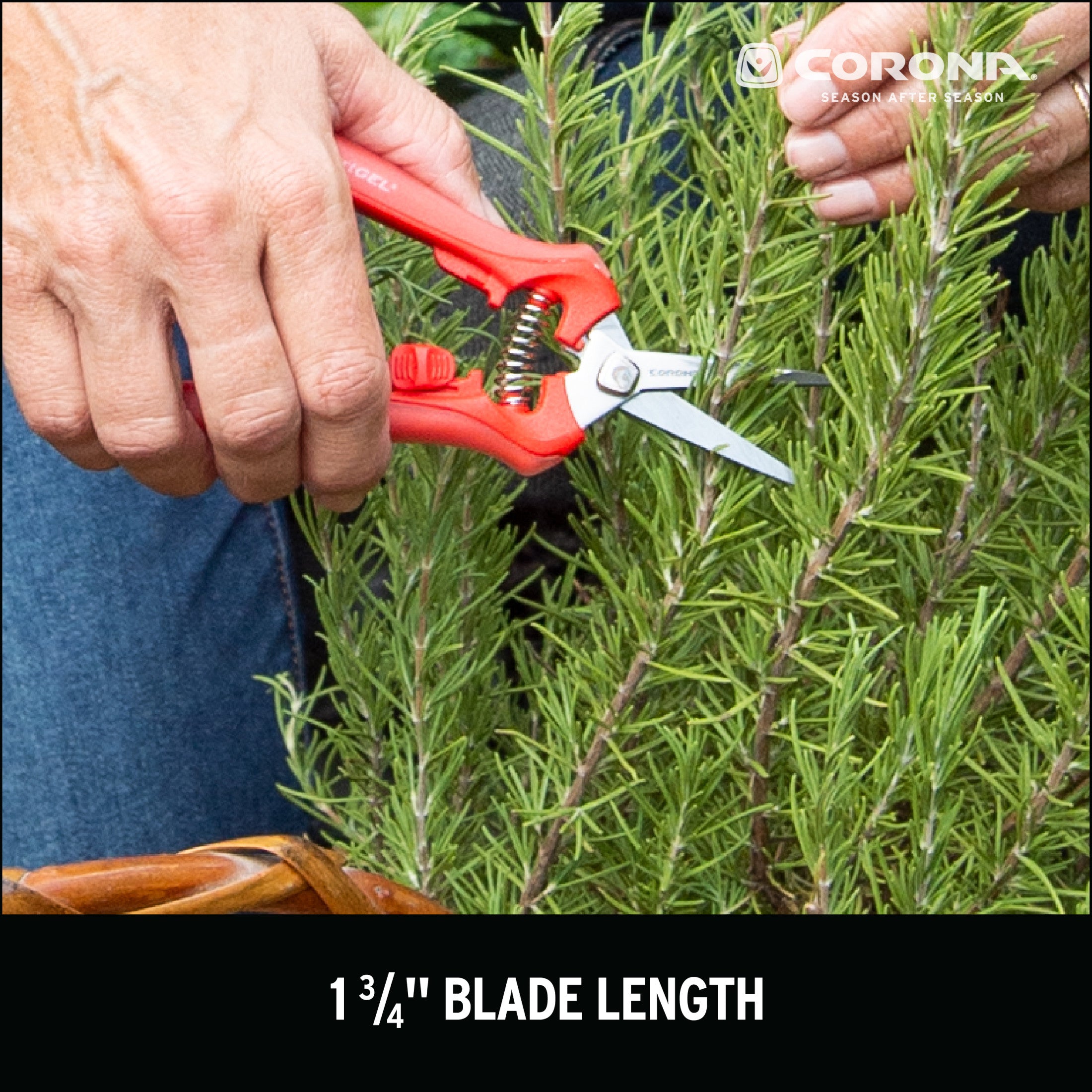 ComfortGEL® Micro Snips | Corona Clipper Inc.