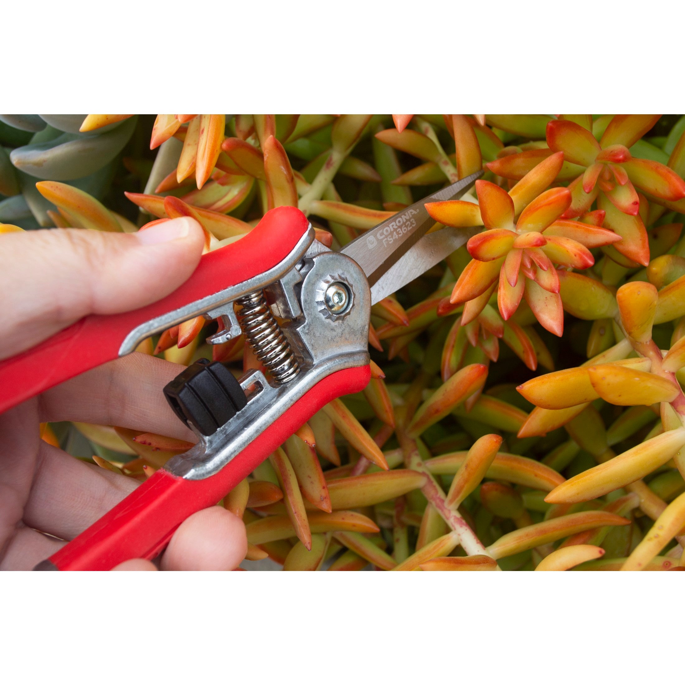 Yard Essentials Mini Floral Snips | Corona Clipper Inc.