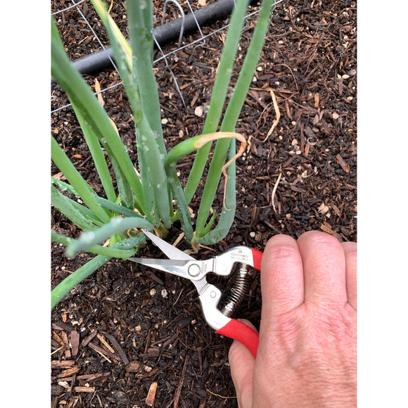 Long Straight Snips, 1-3/4 in. Stainless Steel Blades