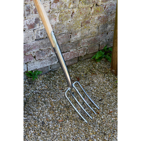 Stainless Steel Border Fork, Wood D-Grip Handle, RHS Endorsed