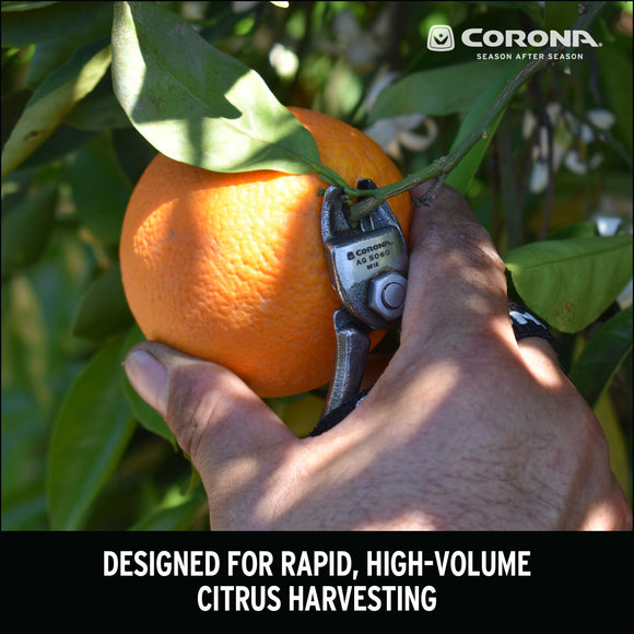 Orange and Apple Bypass Shears