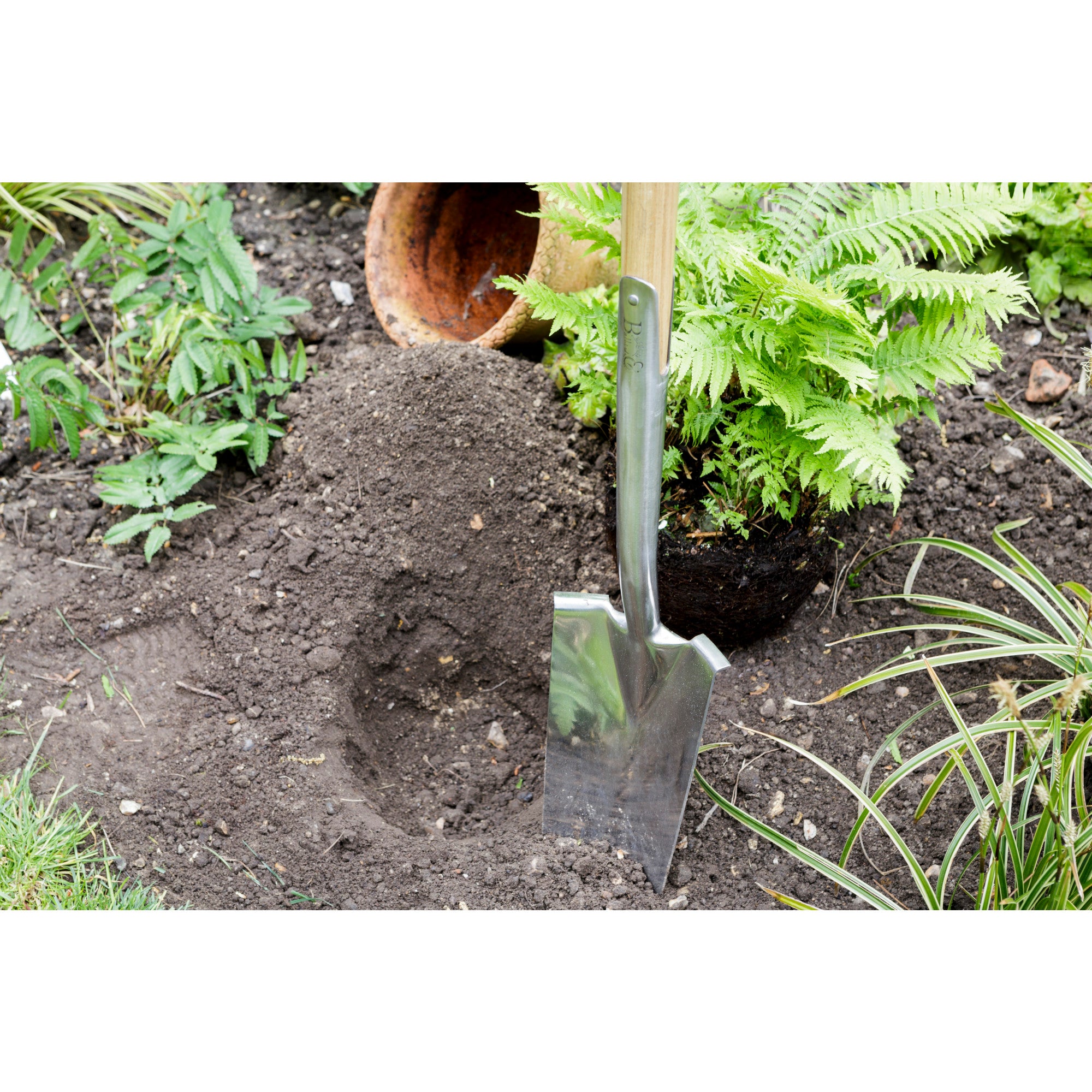 Stainless Steel Transplanting Spade Shovel, Wood D-Grip Handle, RHS Endorsed