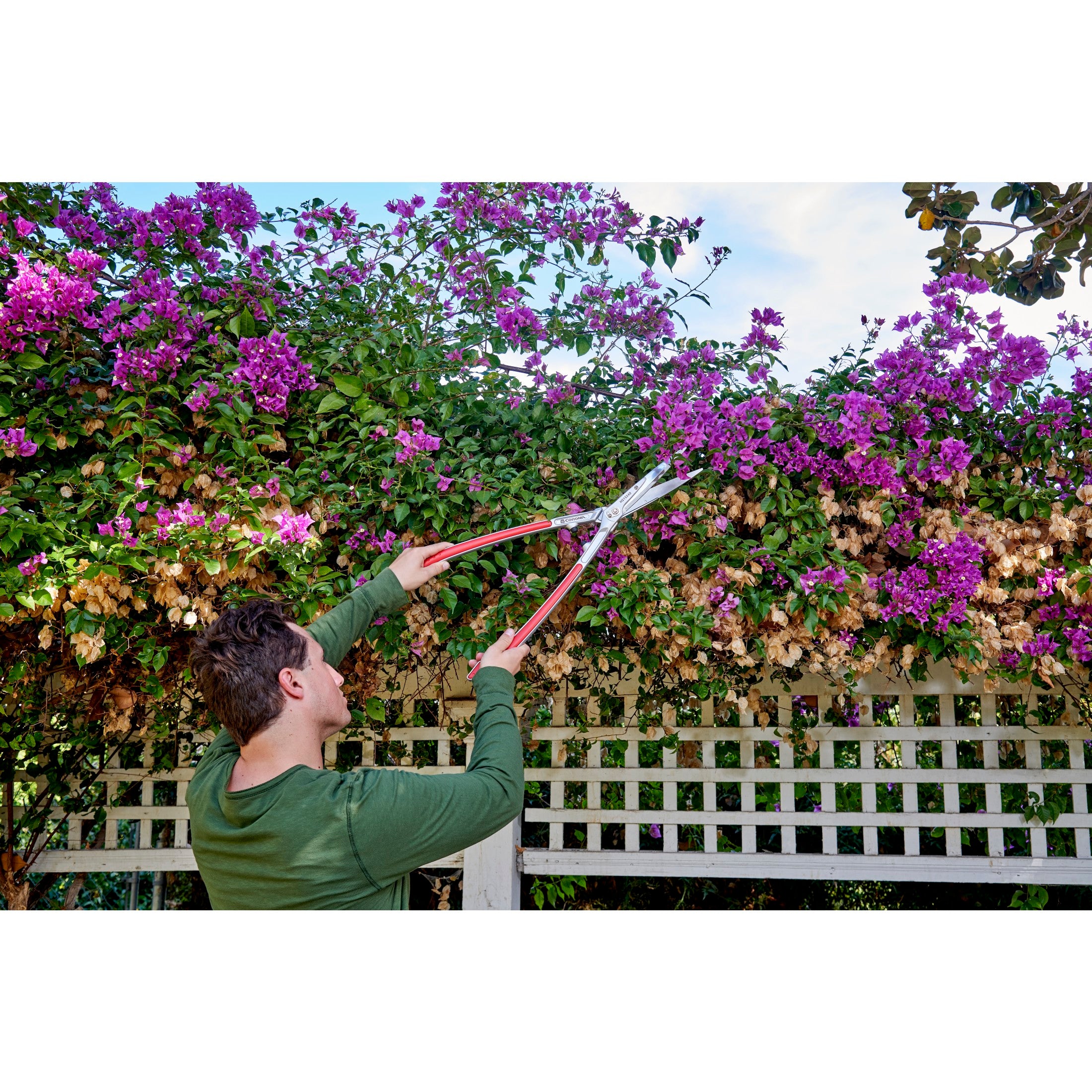 PrecisionCUT Aluminum Hedge Shears 7-1/4 in. blades, 12-3/4 in
